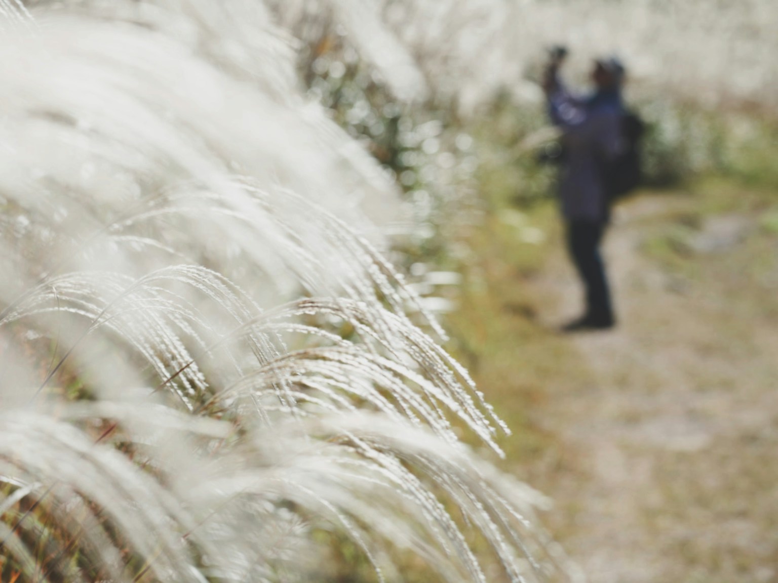 photo-Bw5fP3P7TtVvSGlqi3Qe-image