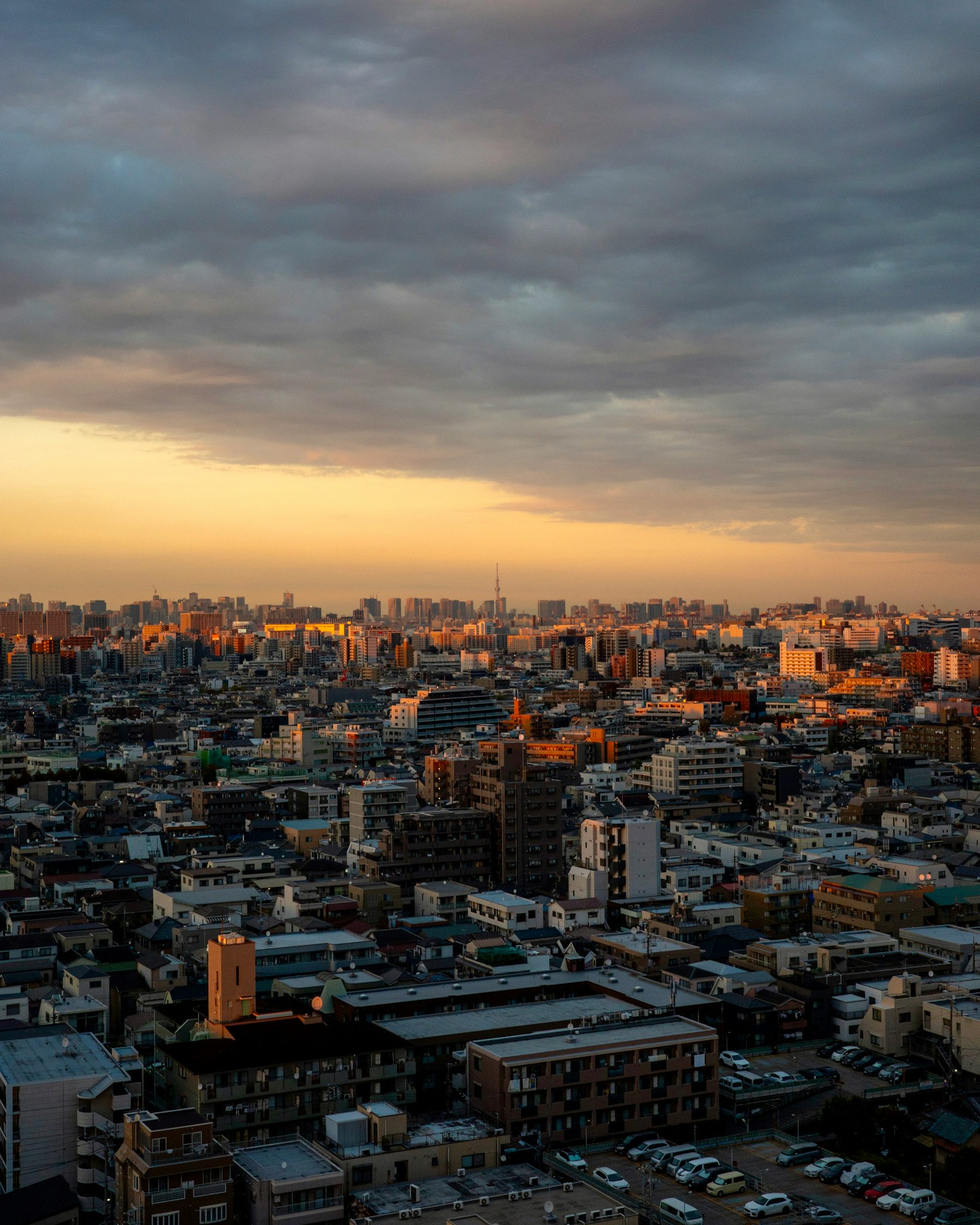 vista sulla città di Tokyo al crepuscolo