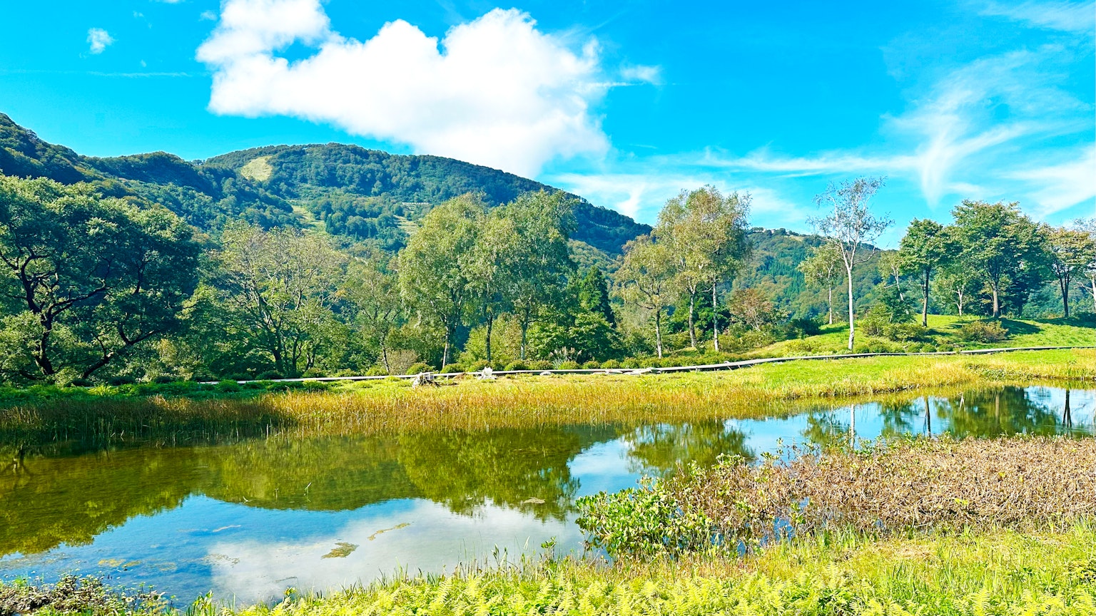 Escena de lago sereno con cielo azul claro y montañas verdes