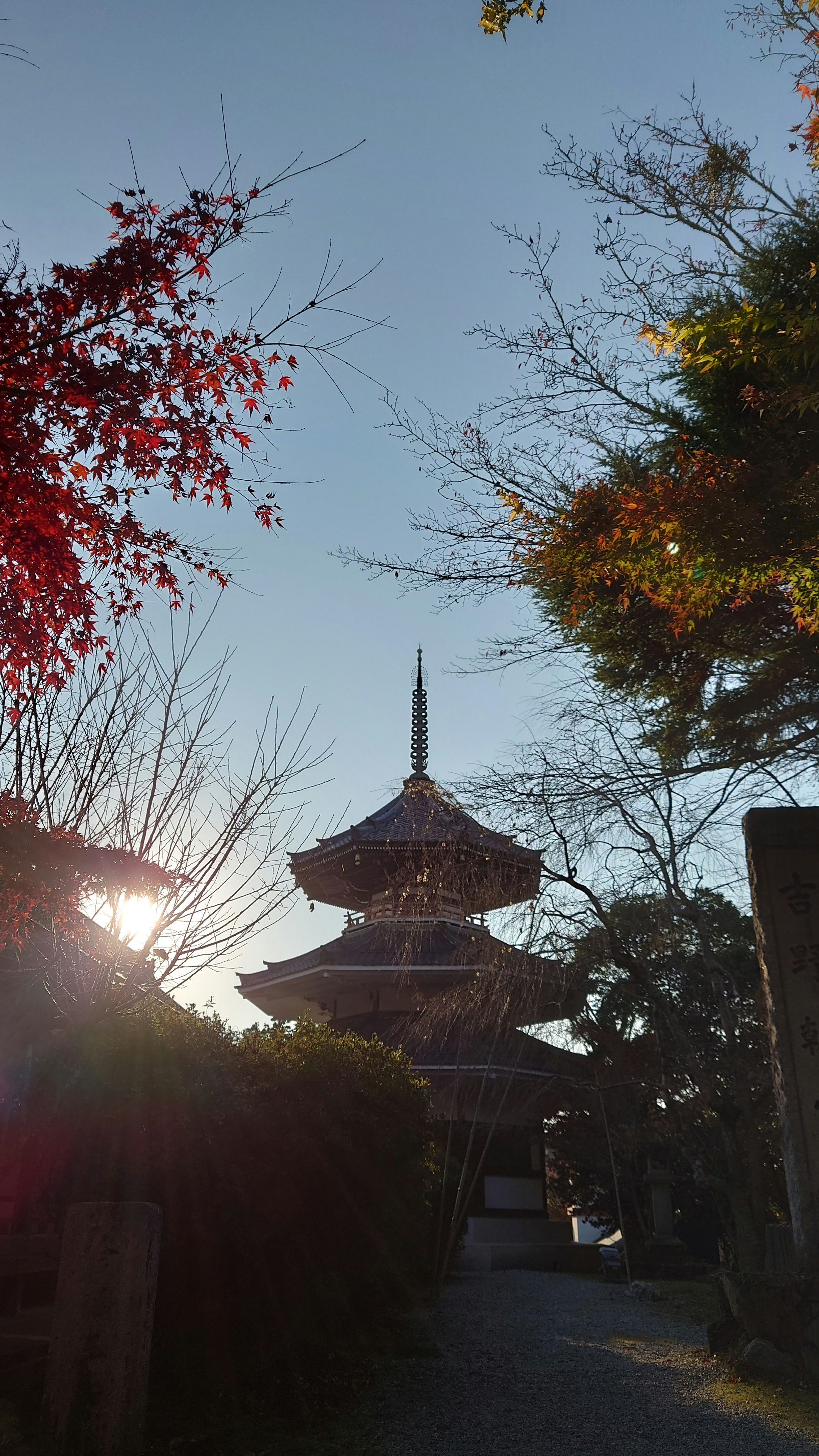 夕日に照らされた紅葉と寺院の三重塔のある参道