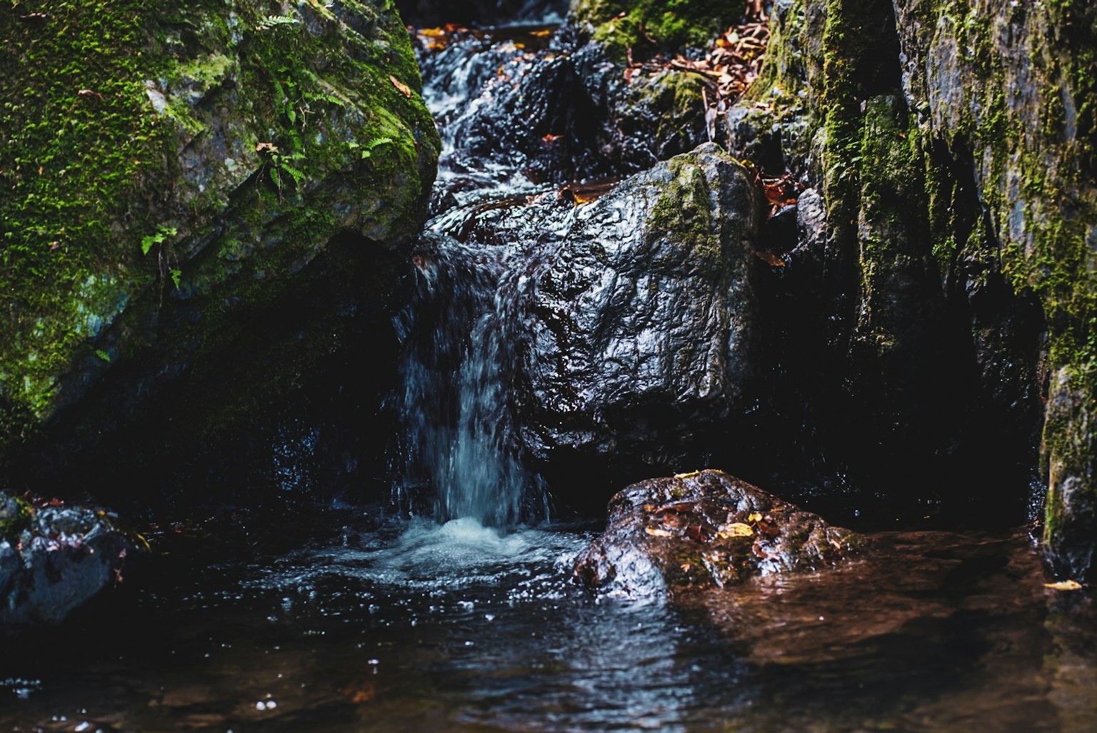 Cascata con rocce coperte di muschio