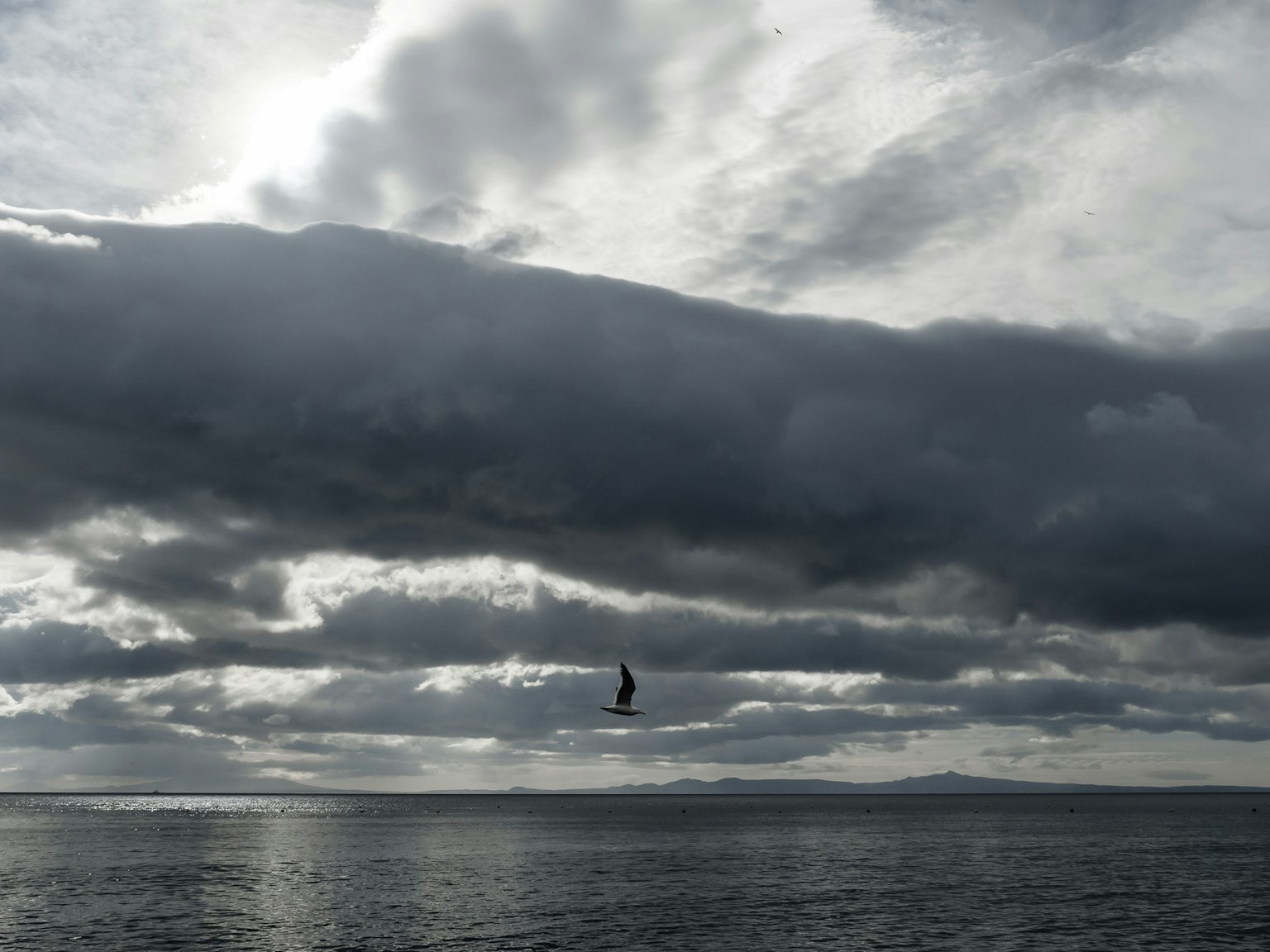 Un pájaro volando sobre el océano con nubes oscuras en el cielo