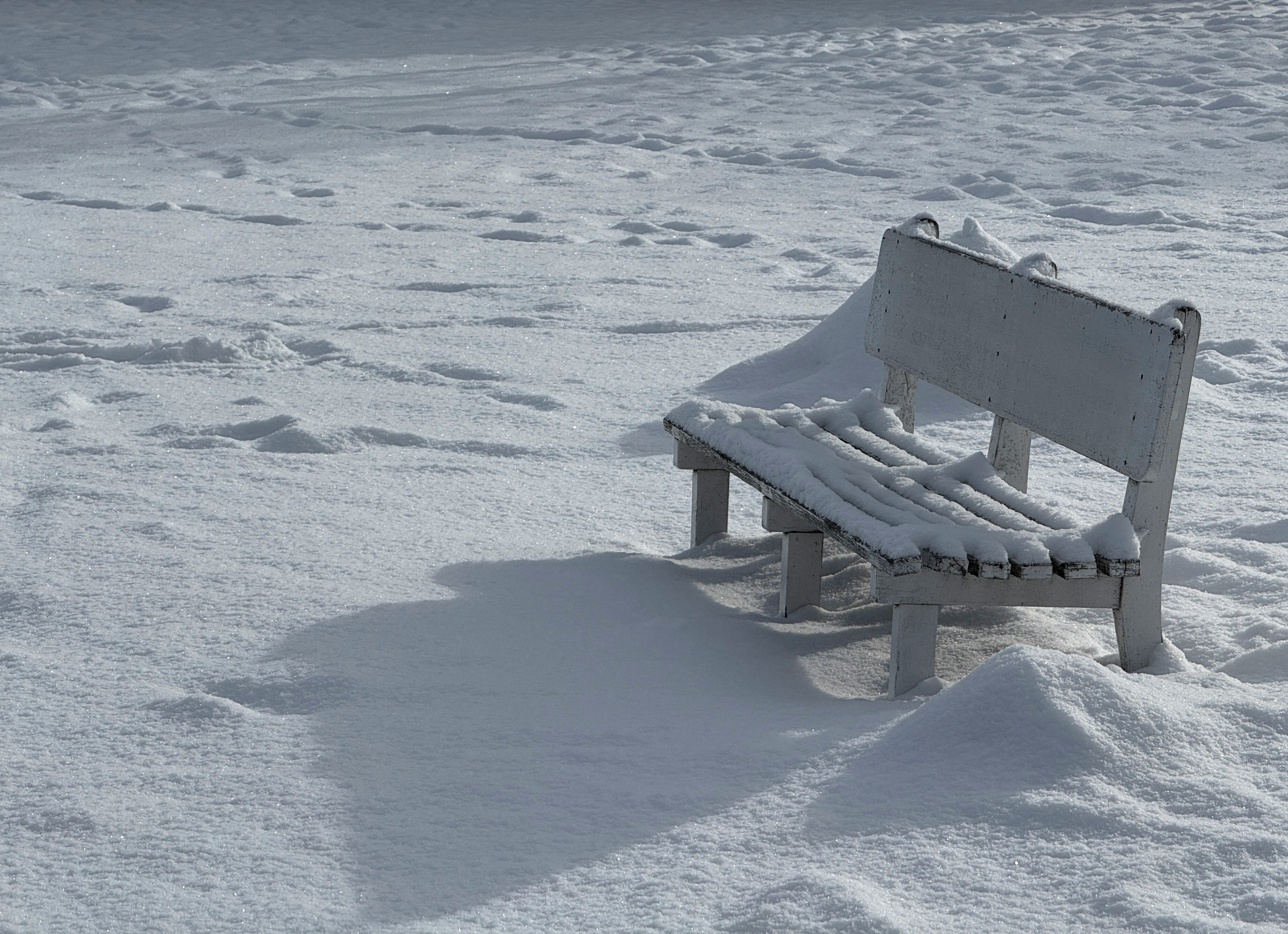 雪に覆われた白いベンチが静かな風景に佇む