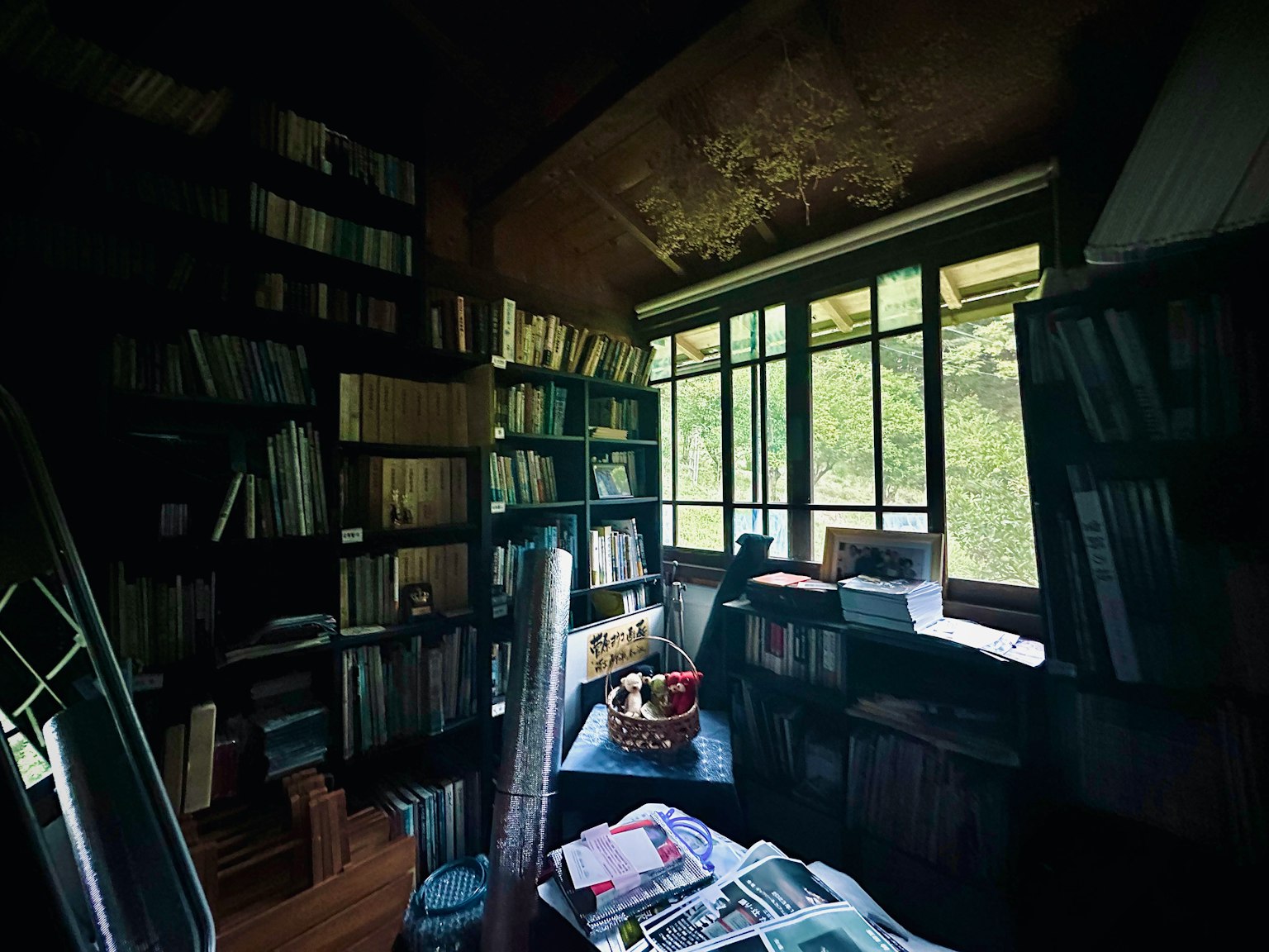 Gemütliches Arbeitszimmer mit Bücherregalen und natürlichem Licht von großen Fenstern