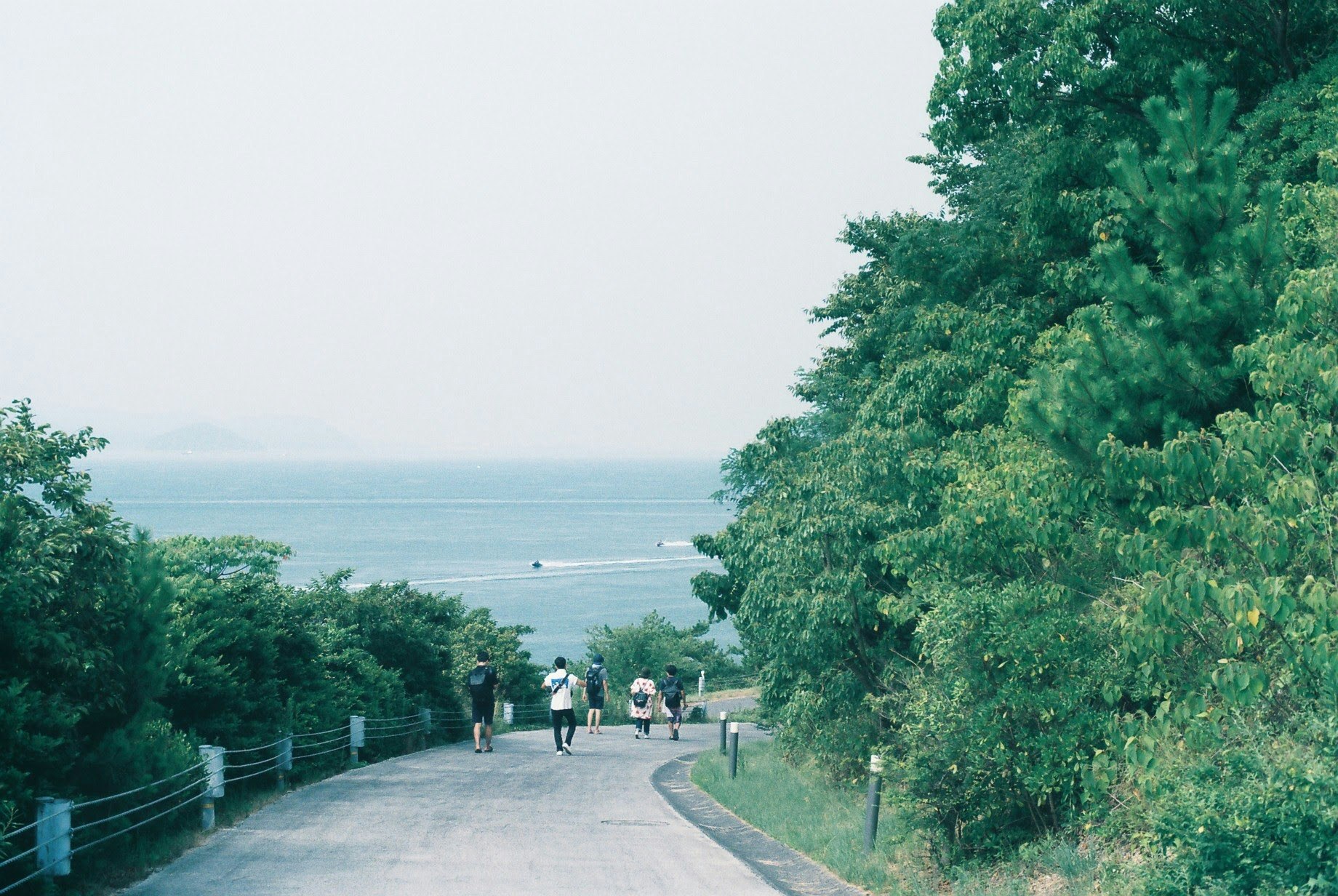 chemin au bord de la mer en été, avec des personnes et des arbres verts