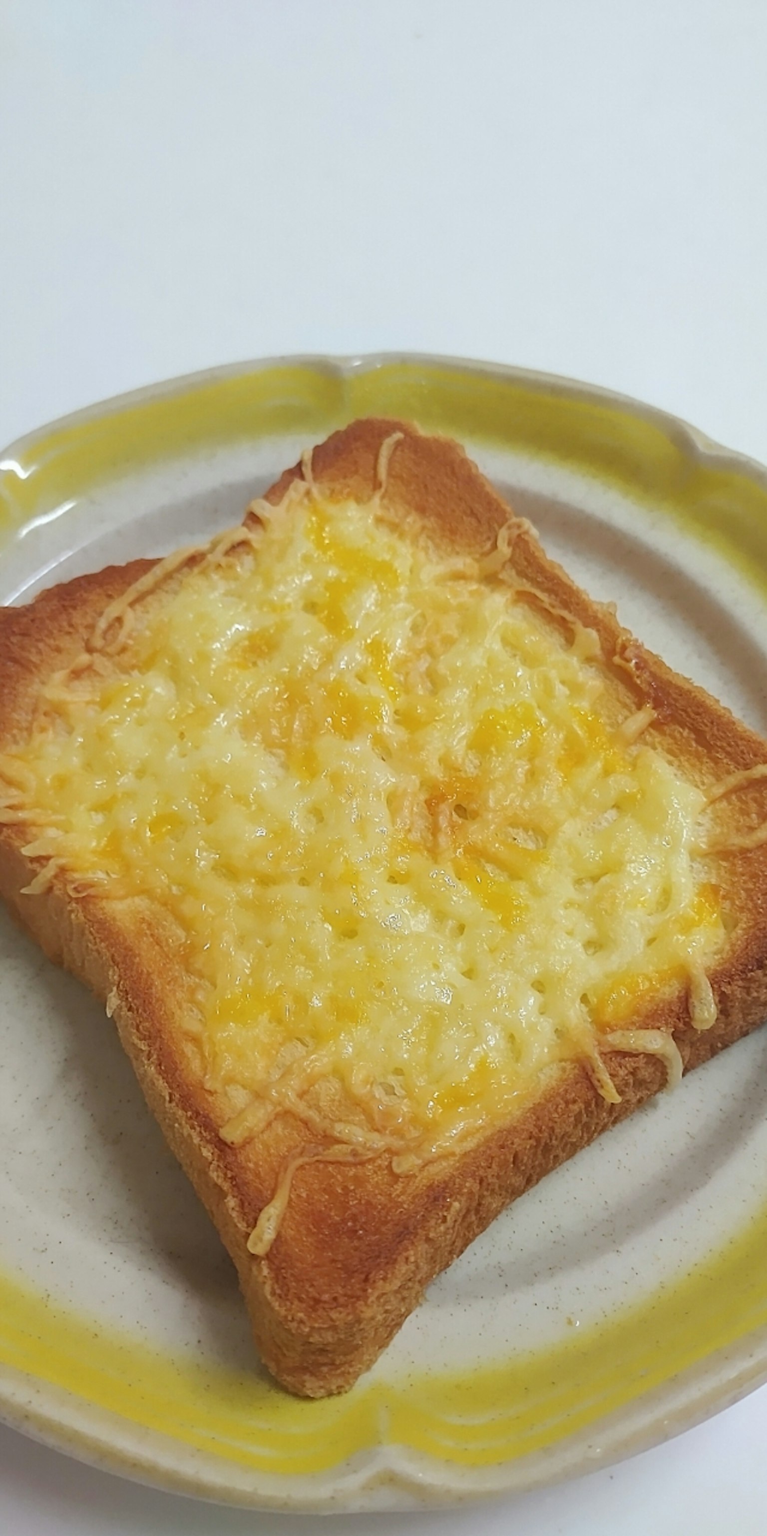 Toasted bread topped with melted cheese on a plate