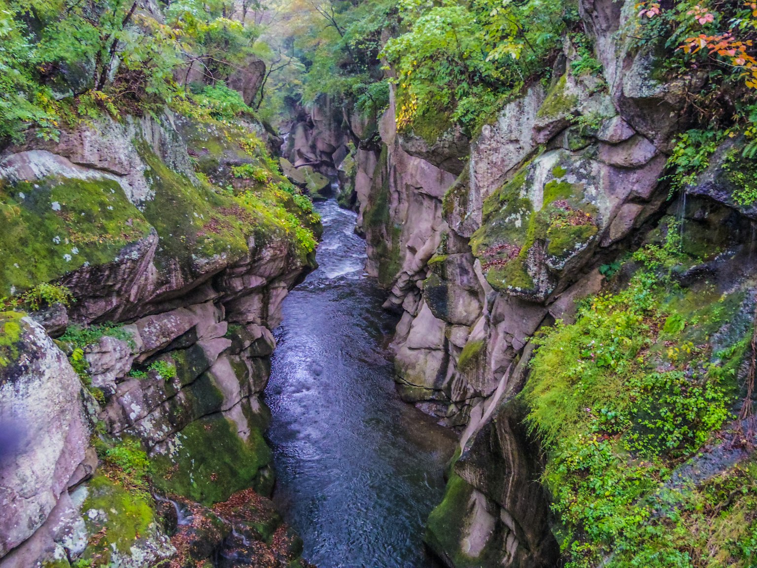 Sebuah sungai mengalir melalui ngarai yang indah dikelilingi oleh vegetasi yang subur