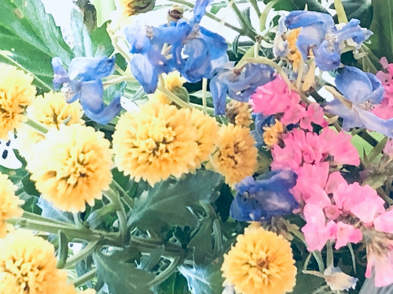 色彩豐富的花束特寫，突顯黃色和粉色花朵