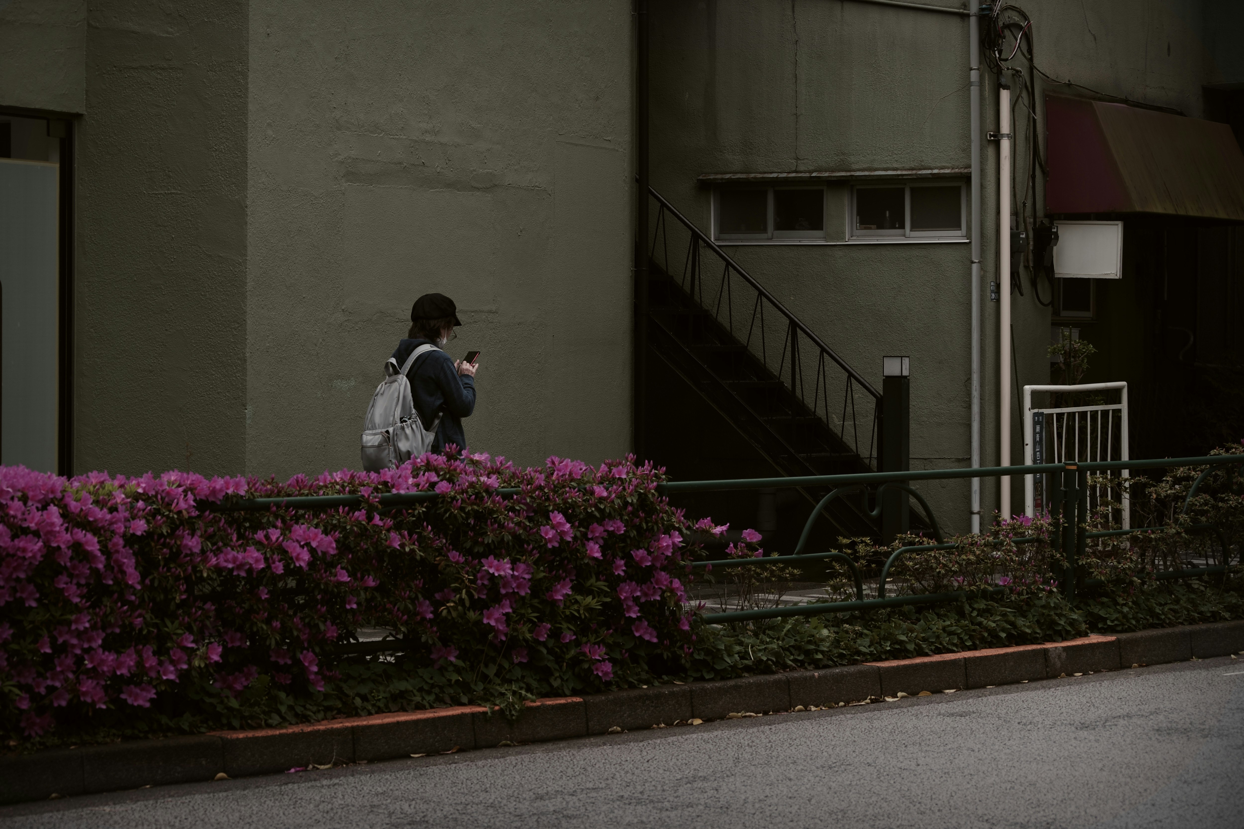 ツツジの花壇の前を歩く人のいる路地の街並み
