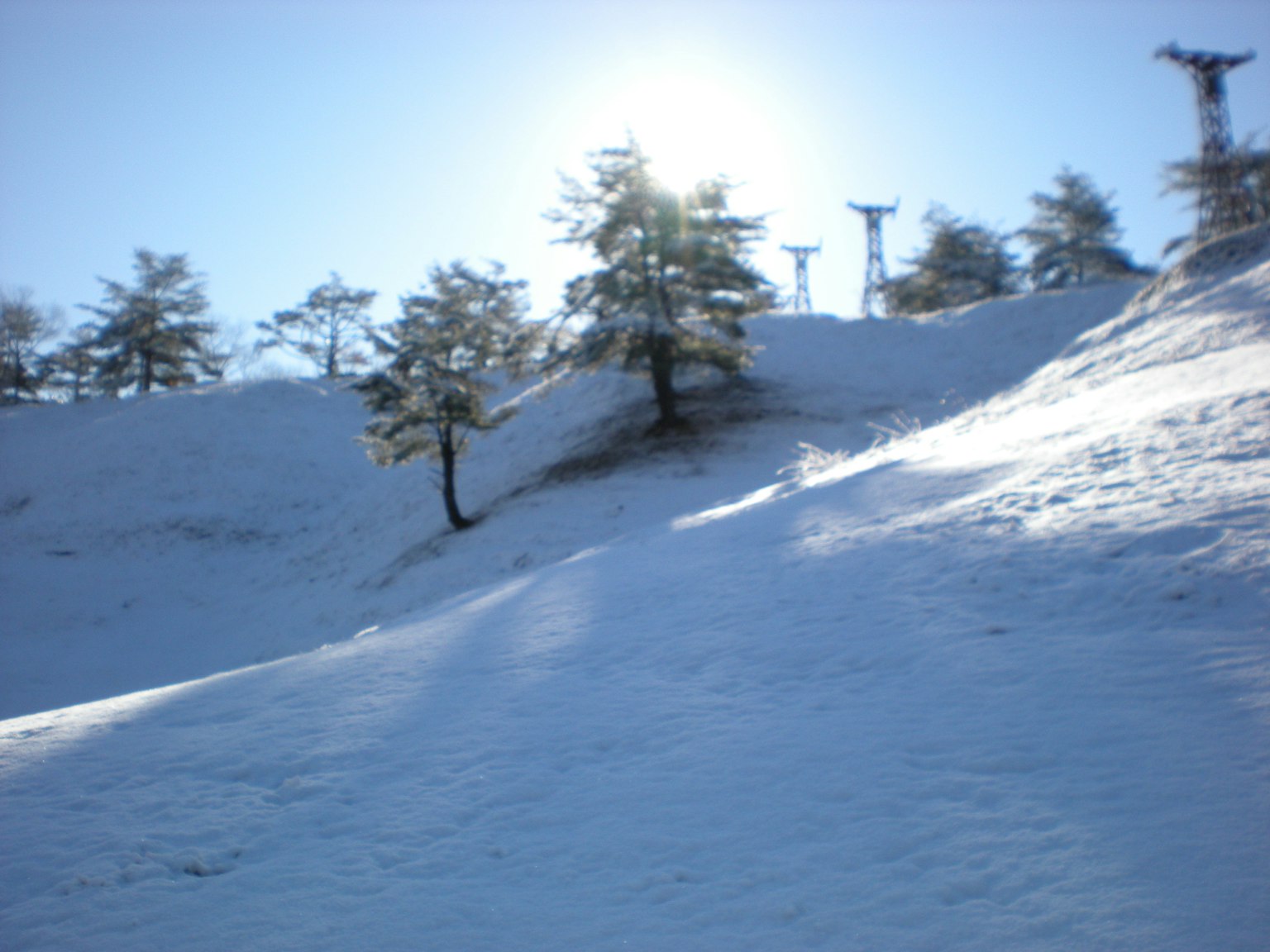 Paesaggio collinare innevato con sole splendente e alberi visibili
