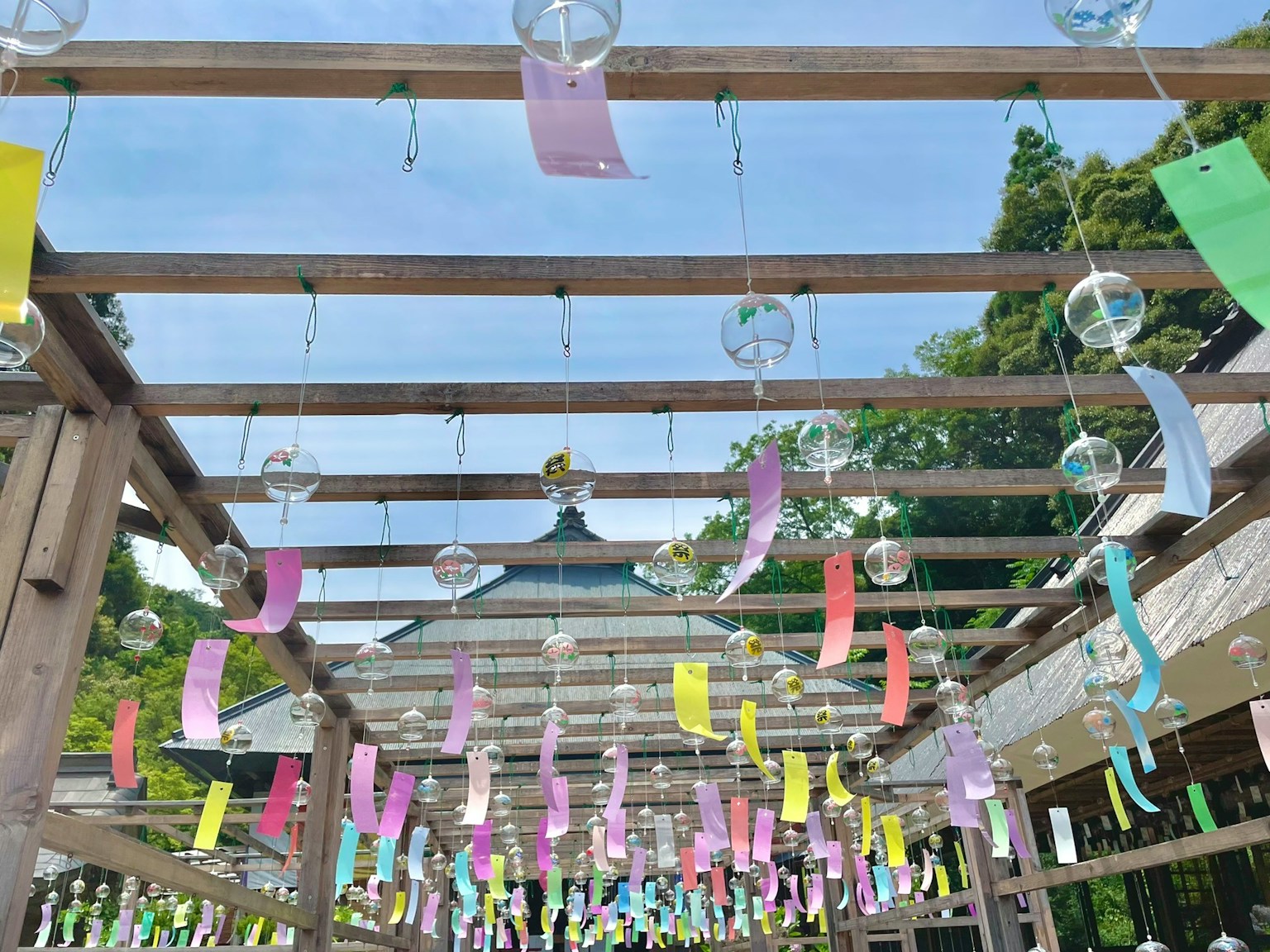 從下方觀看懸掛著五彩繽紛短冊的木結構