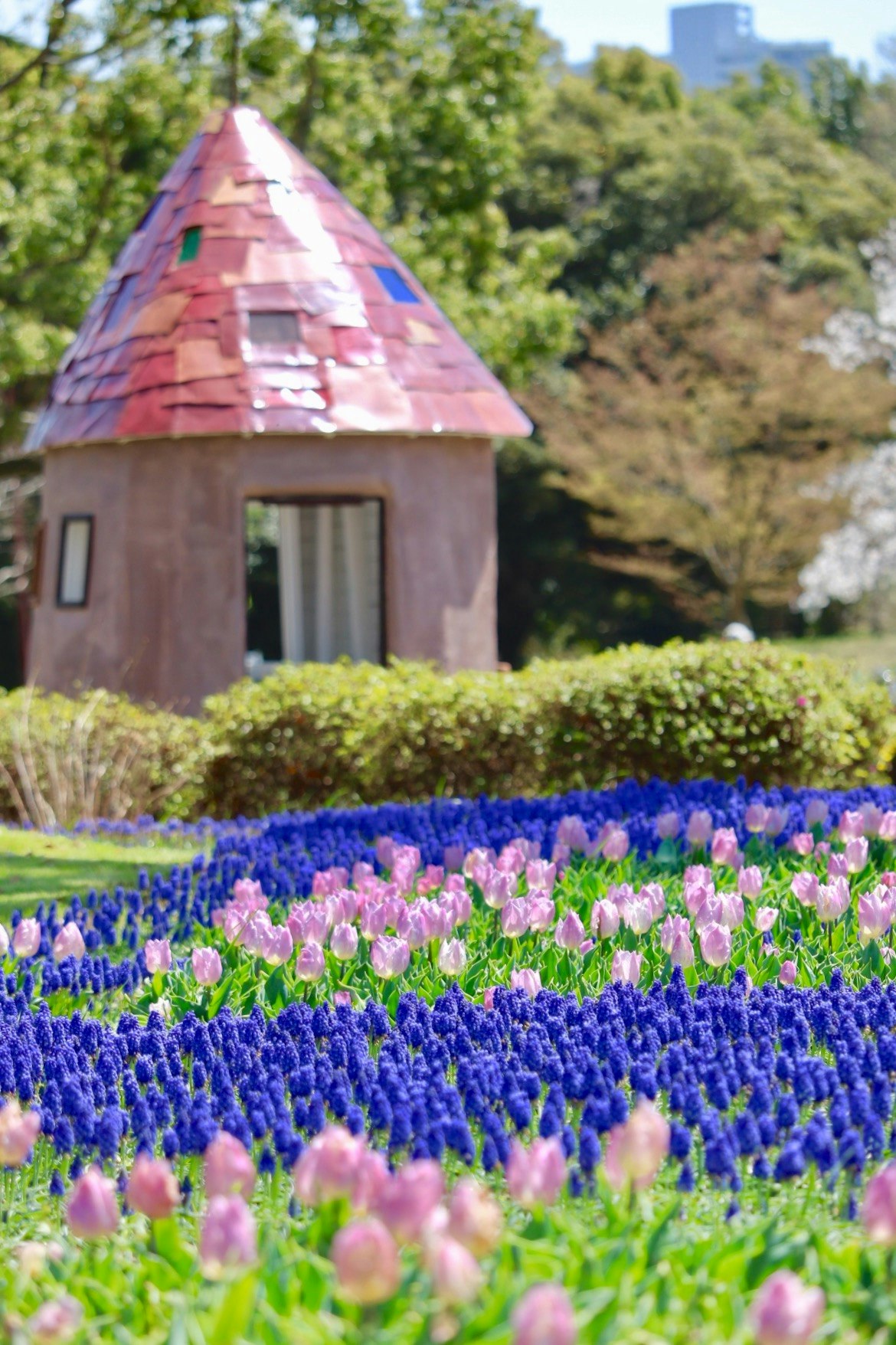 花畑の中にある小さな丸い展望小屋