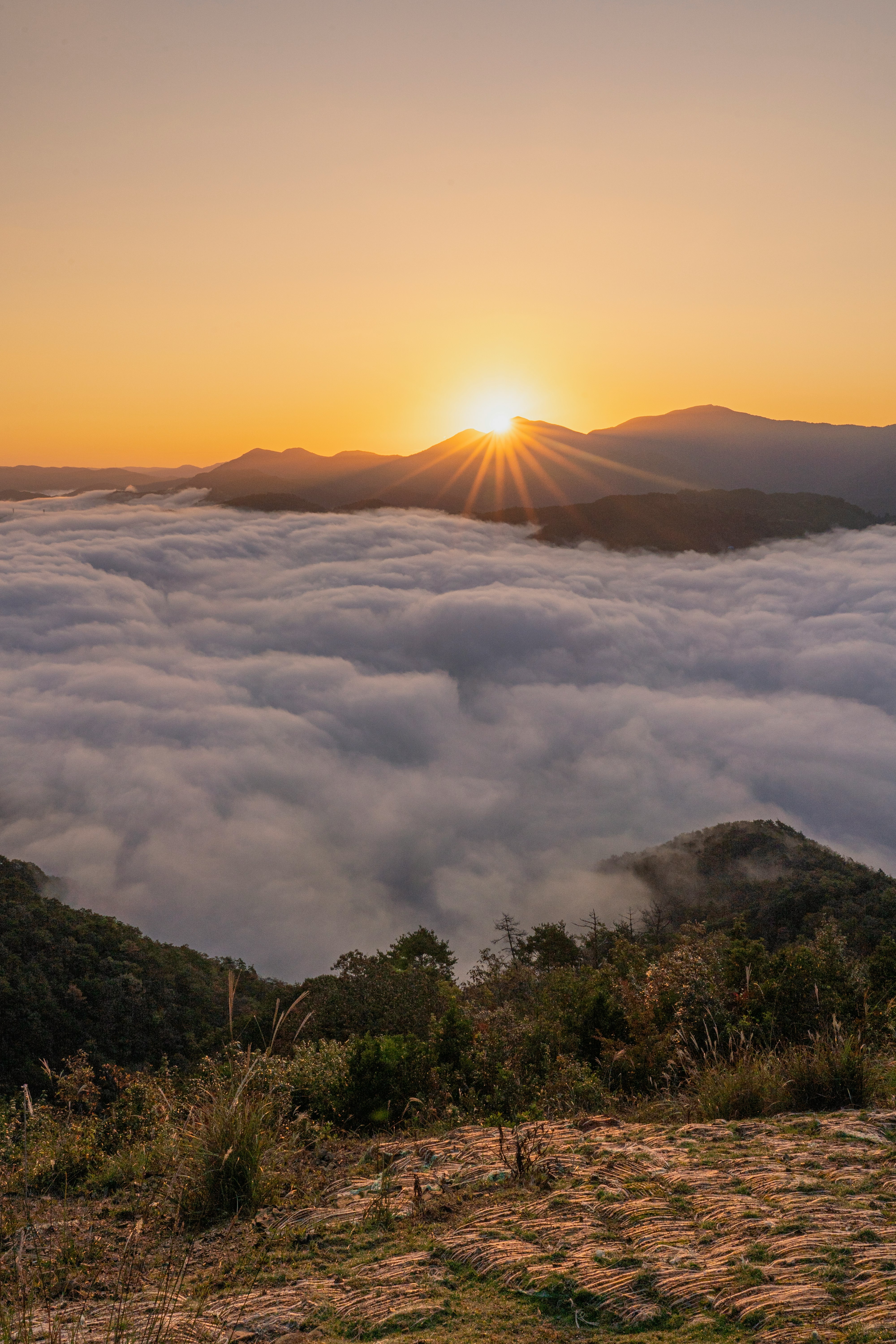 amanecer sobre un mar de nubes y una cresta montañosa