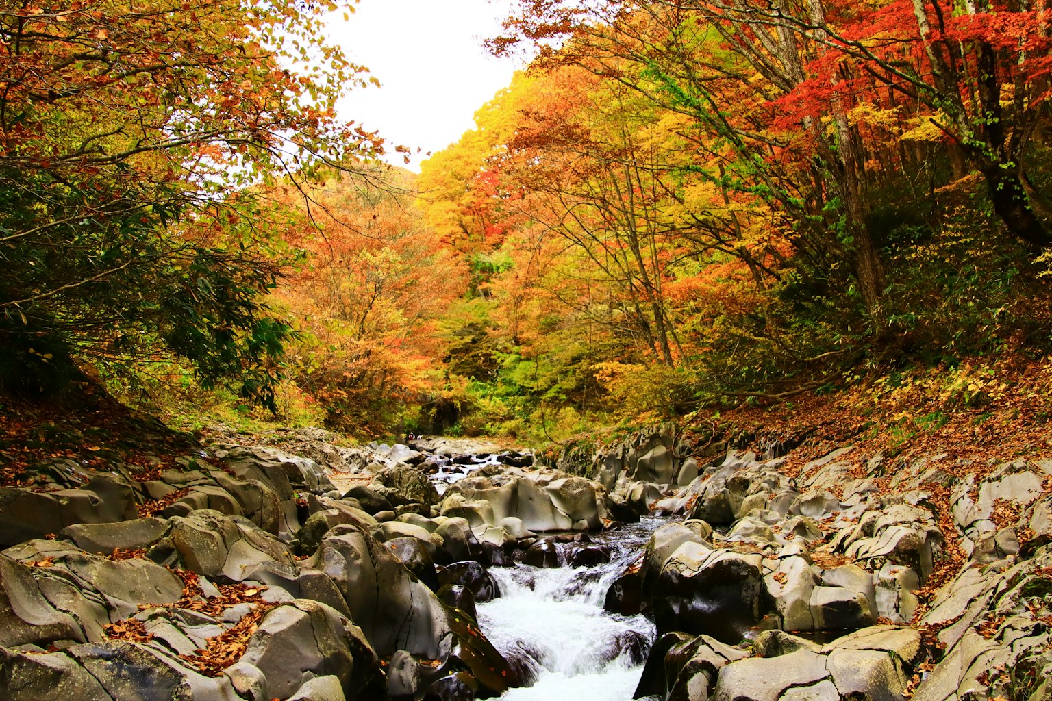 Ein malerischer Bach umgeben von herbstlichem Laub