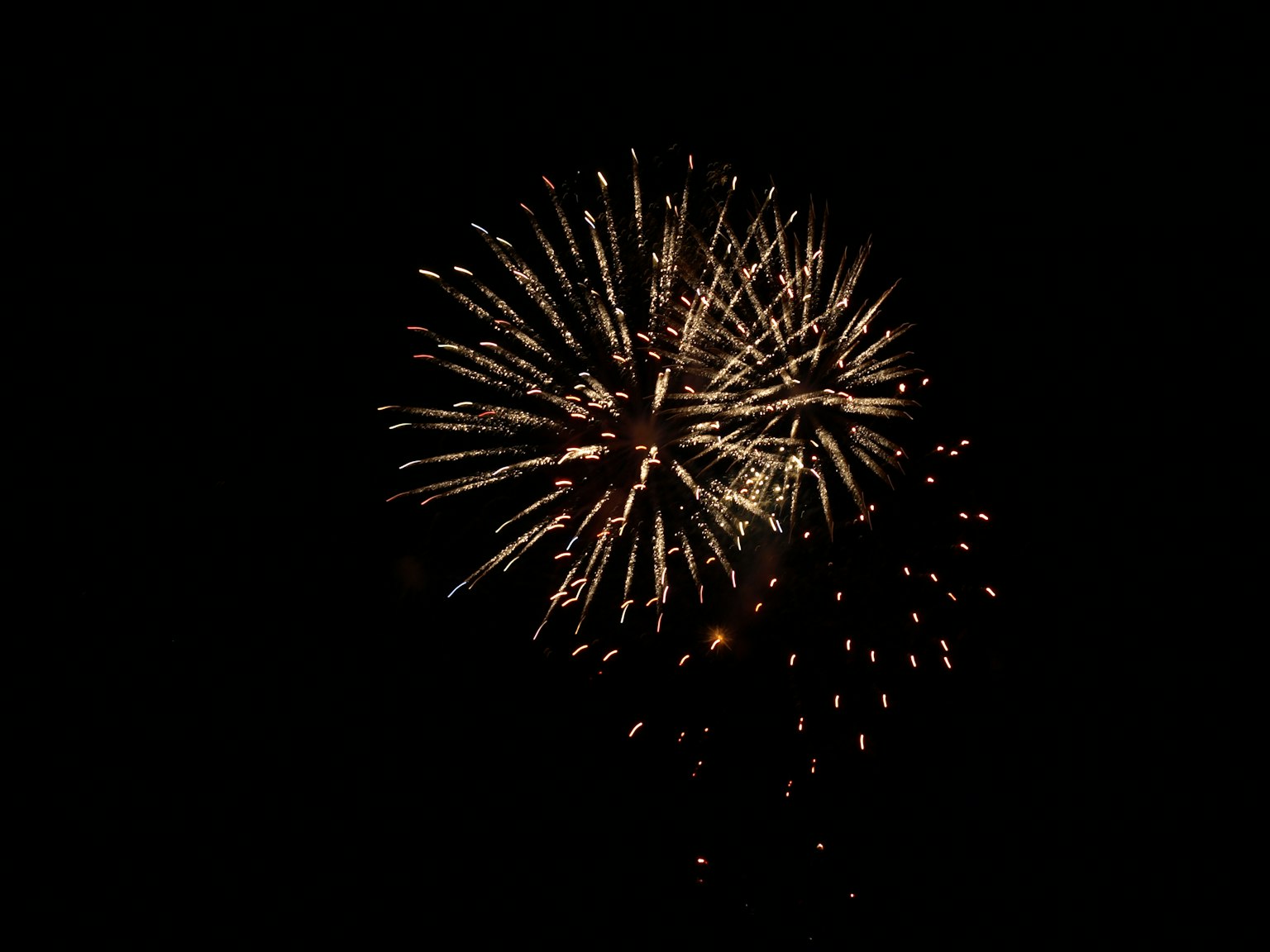 Fuochi d'artificio che esplodono nel cielo notturno con sfondo scuro