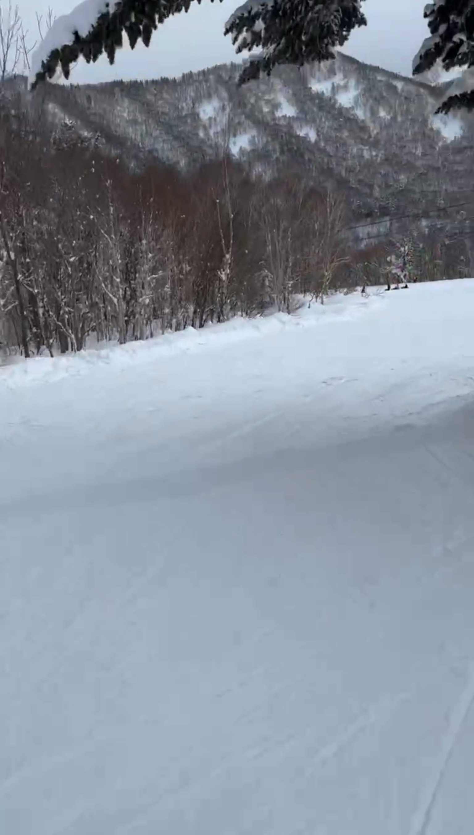 被雪覆盖的山路与树木和山丘