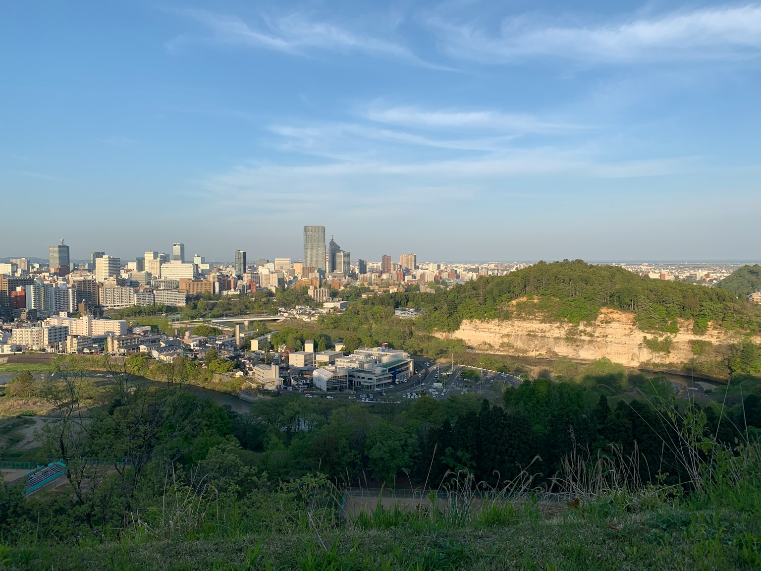 도시 스카이라인과 녹색 언덕의 모습