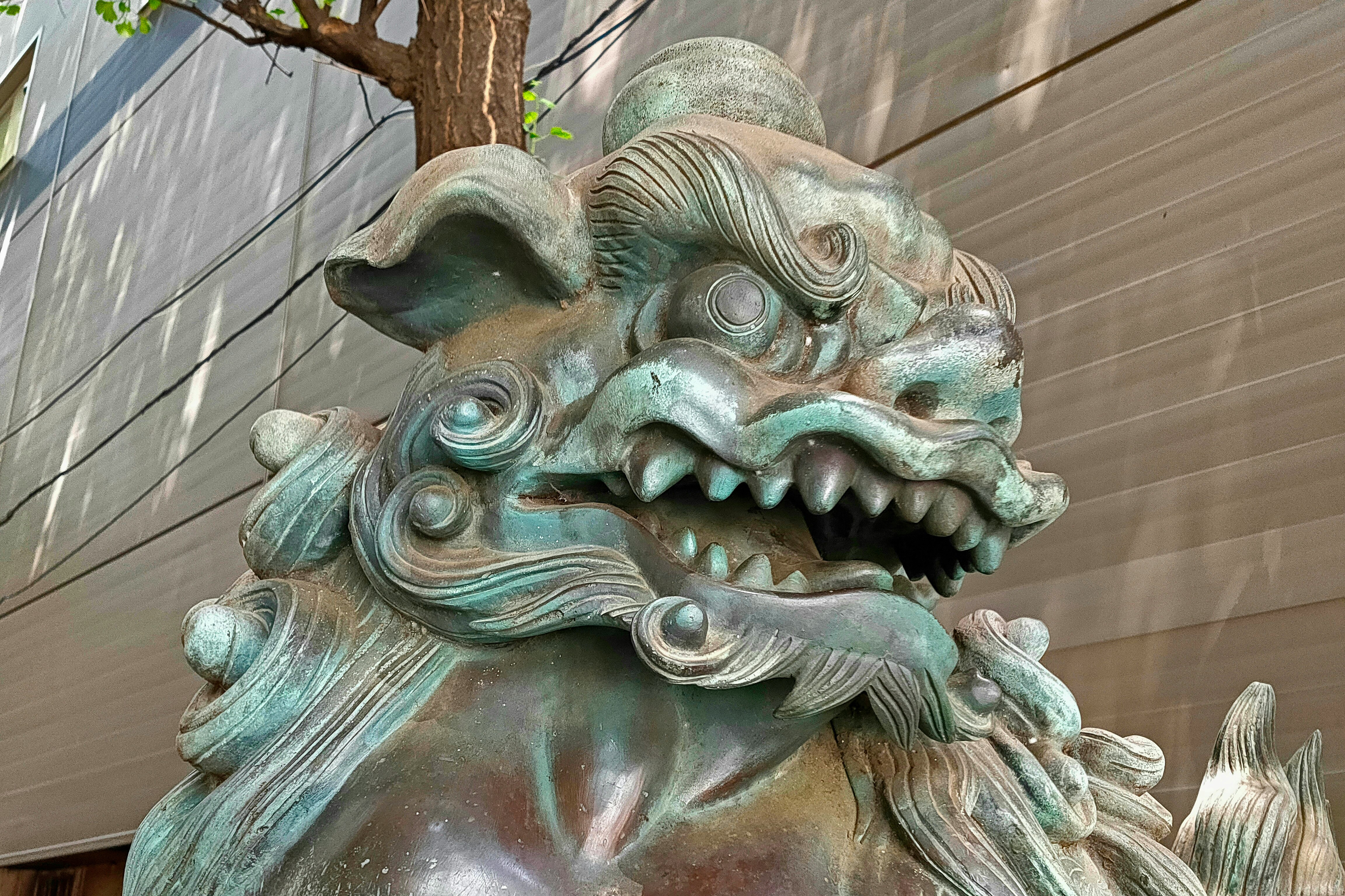 青銅守護獅雕像的面部特寫