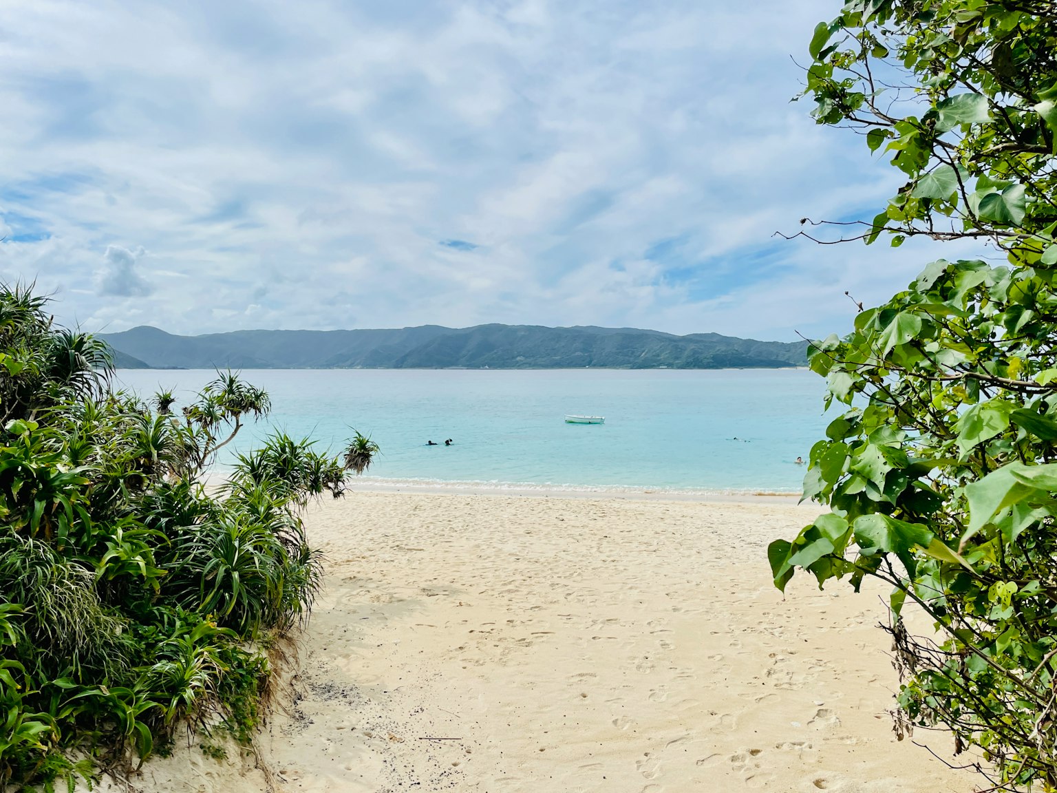 ทิวทัศน์ที่งดงามของชายหาดที่มีน้ำทะเลสีน้ำเงินและทรายขาวล้อมรอบด้วยพืชพรรณเขียวขจี