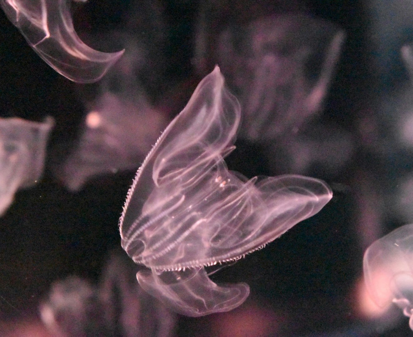 煙のような発光する抽象的な形が漂う画像