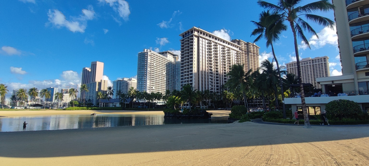 Cảnh biển Waikiki với các tòa nhà cao và cây cọ