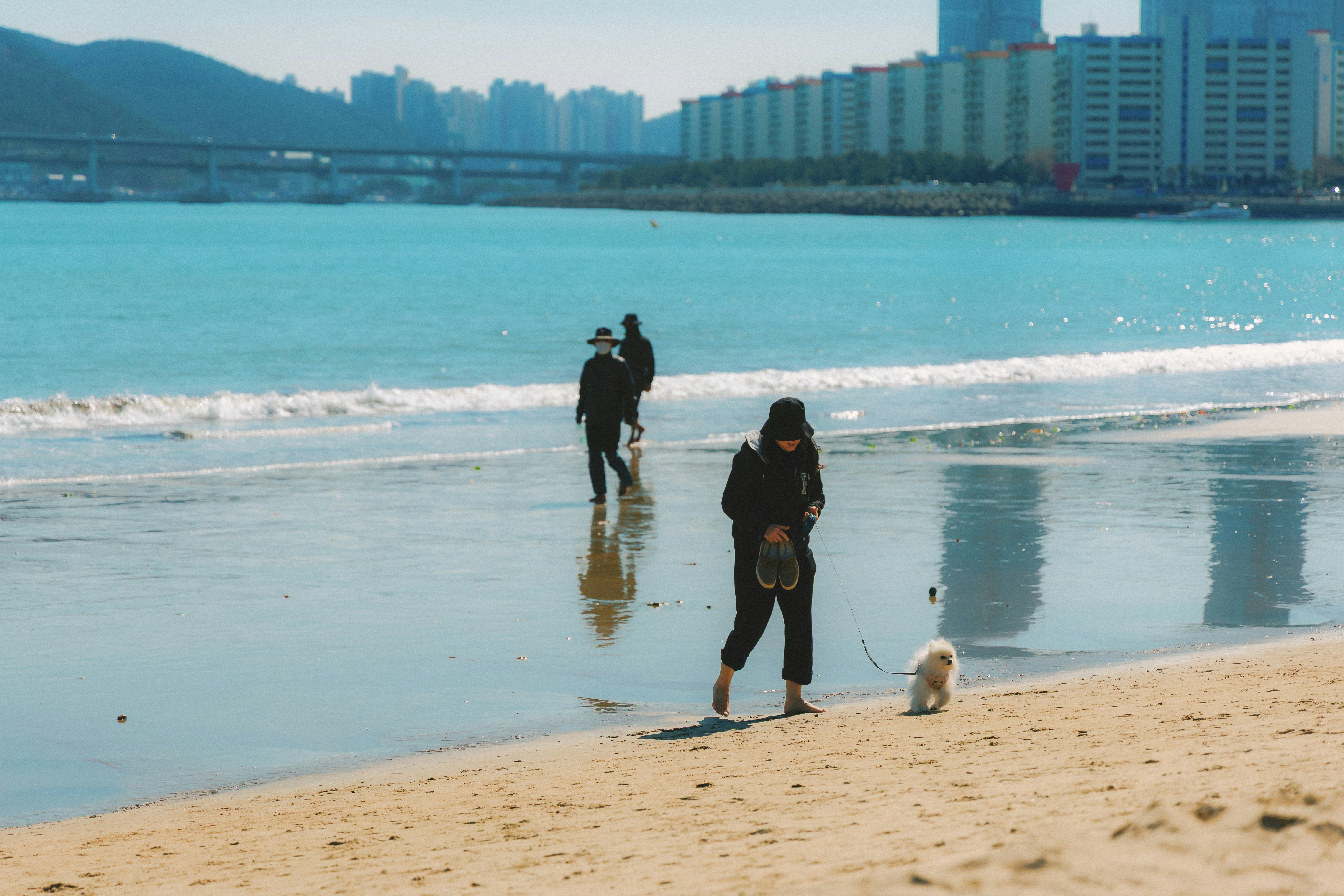 釜山の広安里の海辺を散歩する人と小さな犬のいる風景