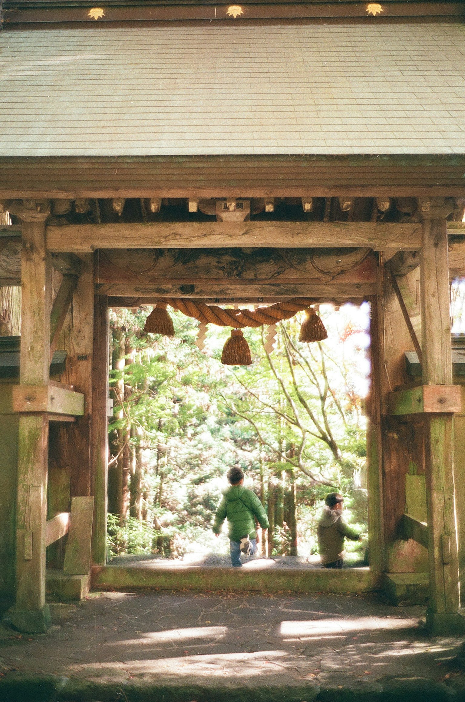 Enfants marchant à travers une porte de sanctuaire entourée de verdure luxuriante