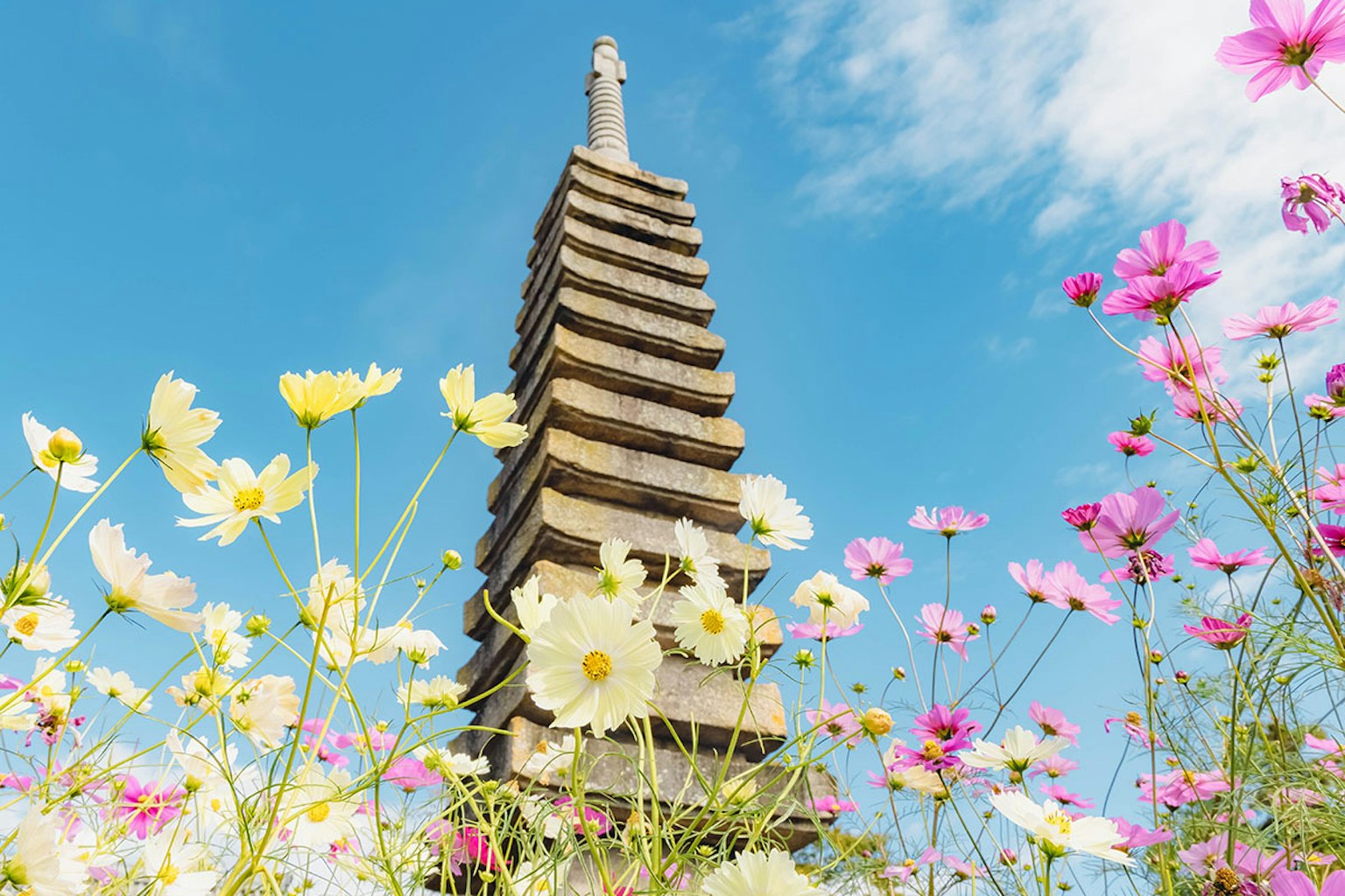 Vista de una pagoda rodeada de flores en flor bajo un cielo azul