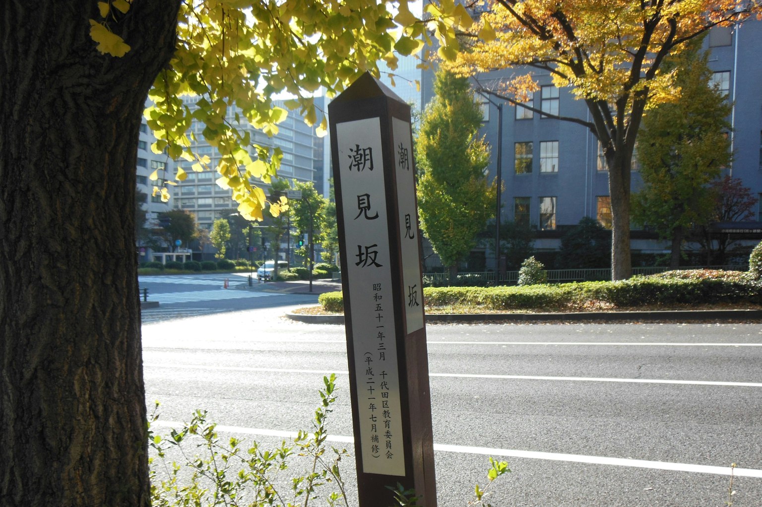 街道标志和秋天的树木背景