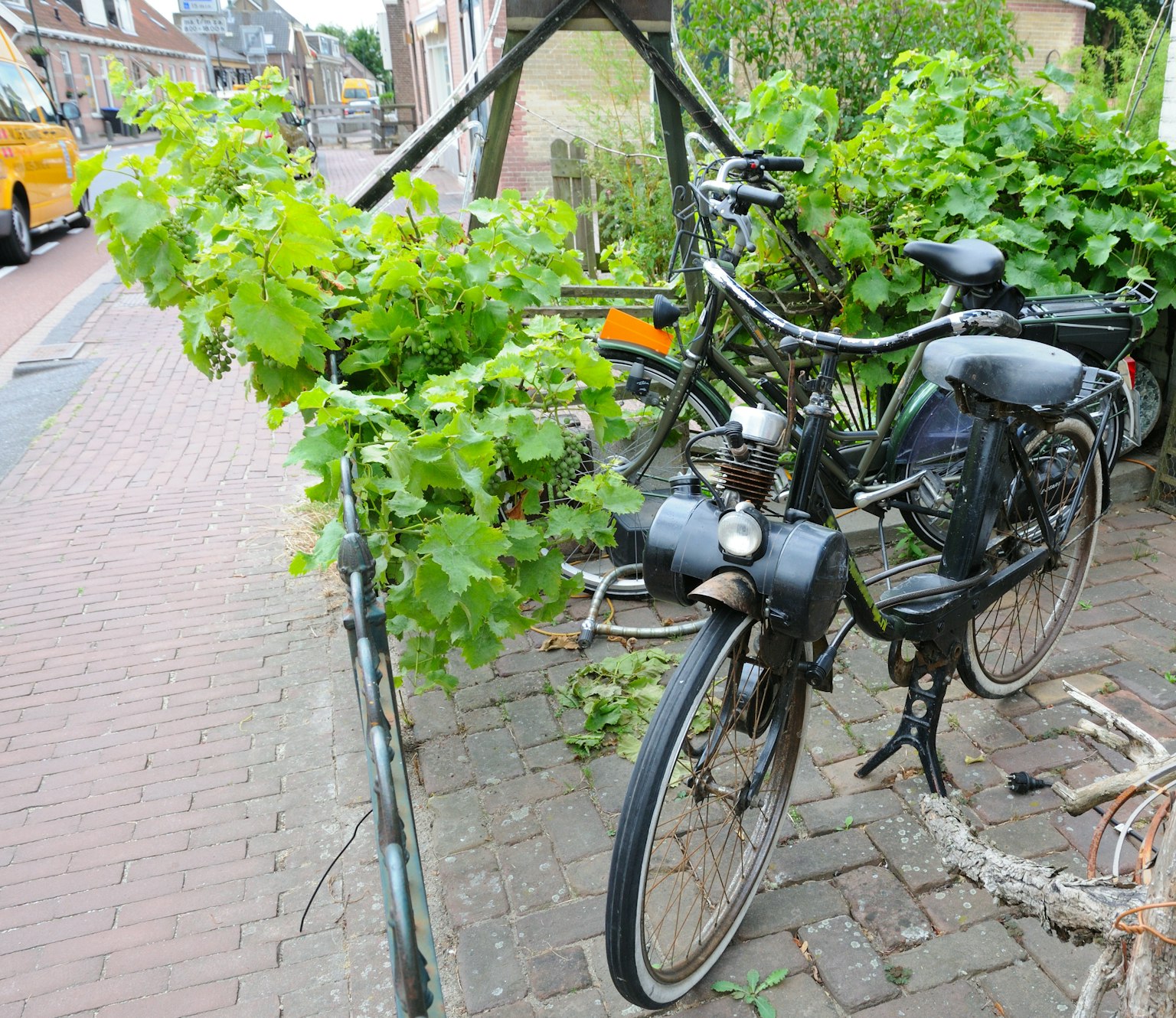 Ein altes Fahrrad, das mit grünen Ranken in einer städtischen Umgebung bedeckt ist