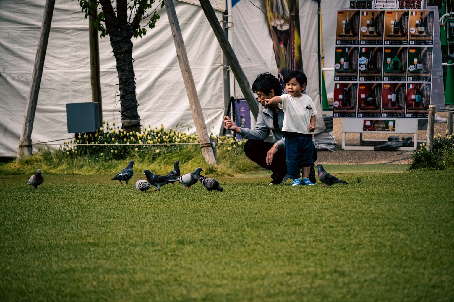 Seorang anak dan orang dewasa berinteraksi dengan merpati di taman rumput hijau dan tenda putih di latar belakang