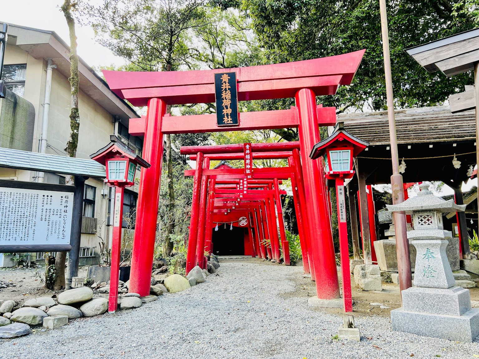 Jalan yang dikelilingi oleh gerbang torii merah di kuil dengan jalur batu dan lentera