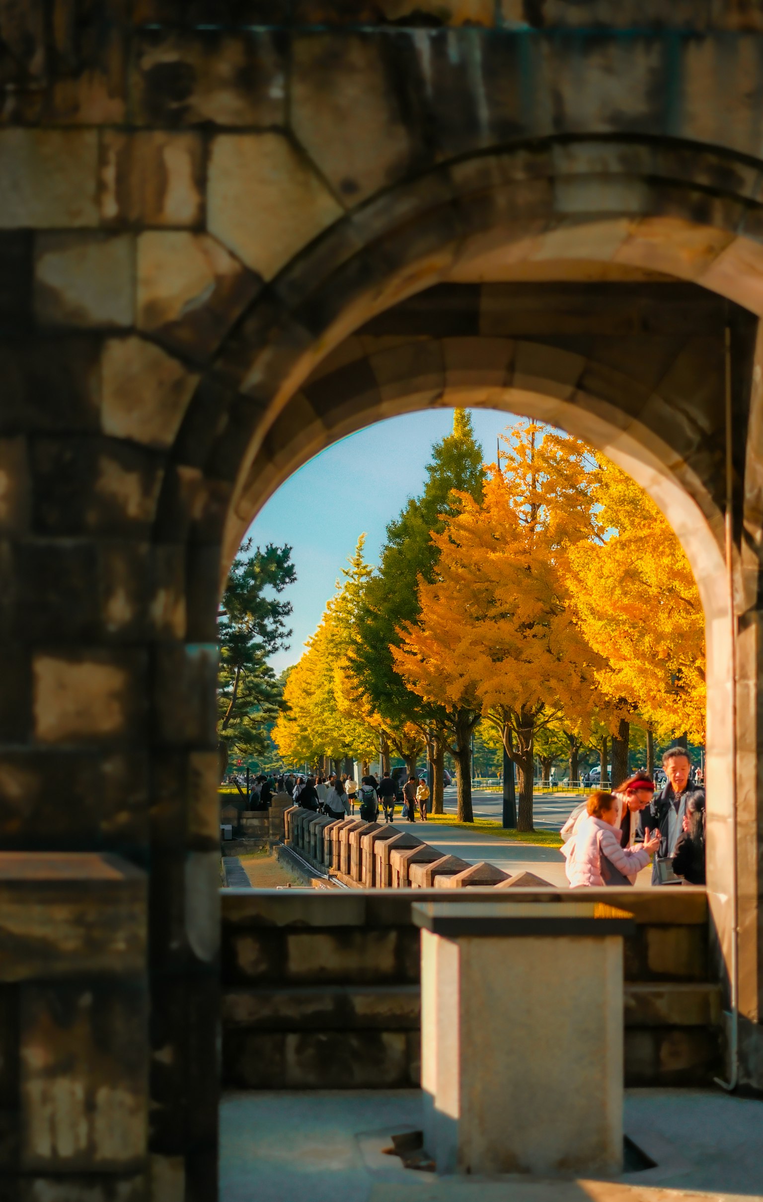 石造りのアーチの向こうに秋の黄色い木々と人々が見える風景