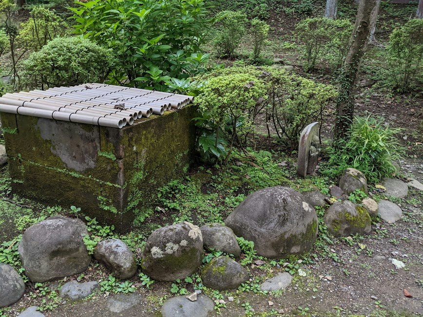 Pequeño abrevadero de piedra con musgo y plantas de jardín junto a un sendero del bosque
