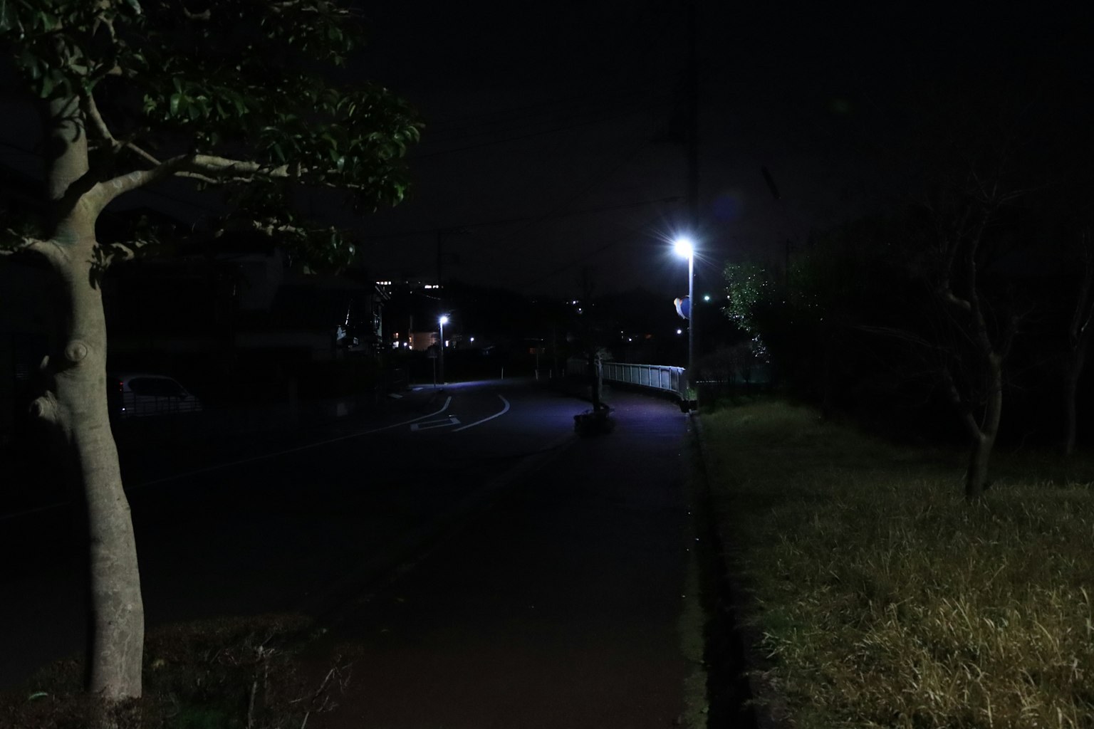 Camino tranquilo del parque de noche iluminado por farolas