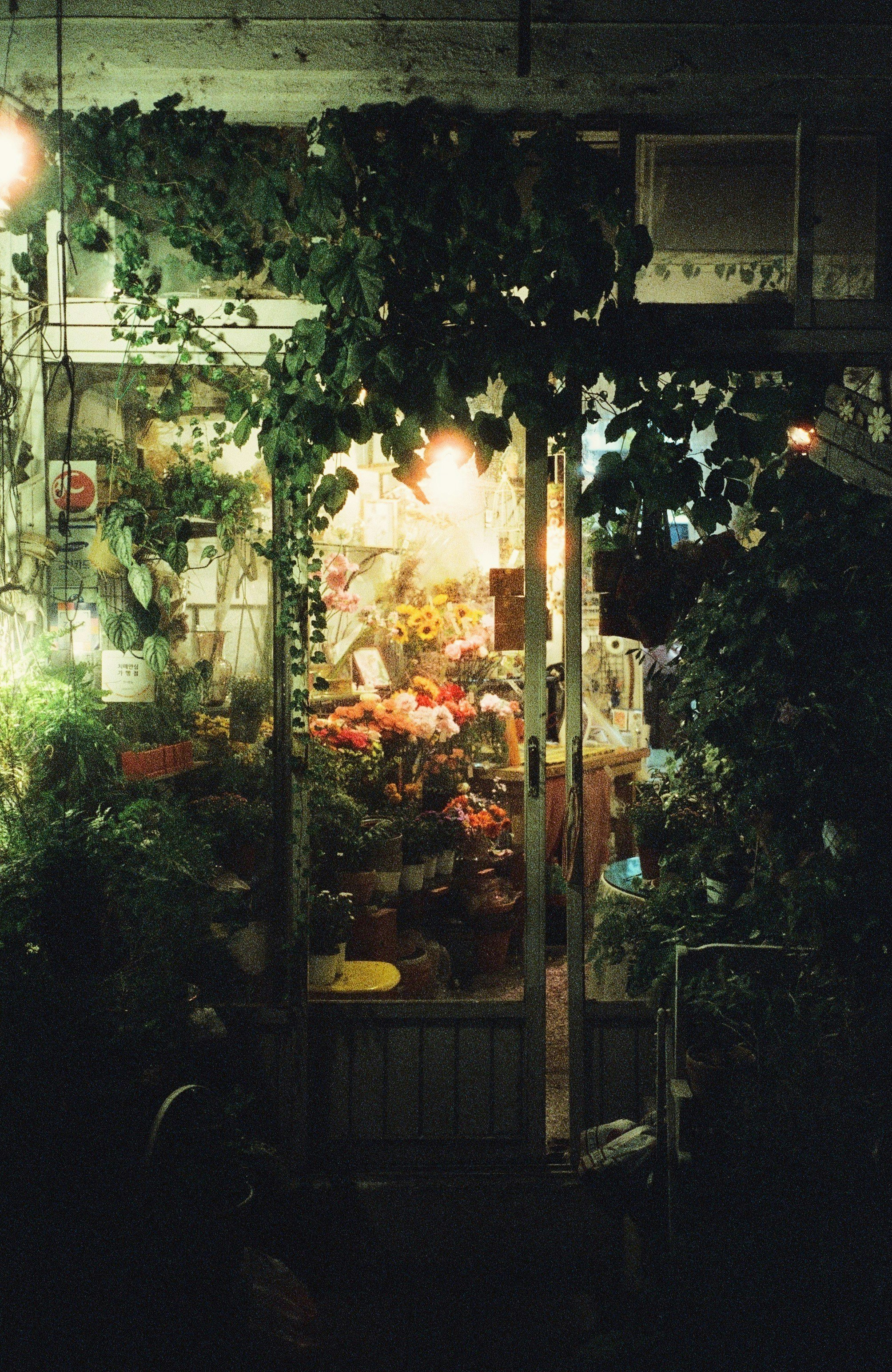 photo-C5f1xUGGXe3xtoABc2Fw-image