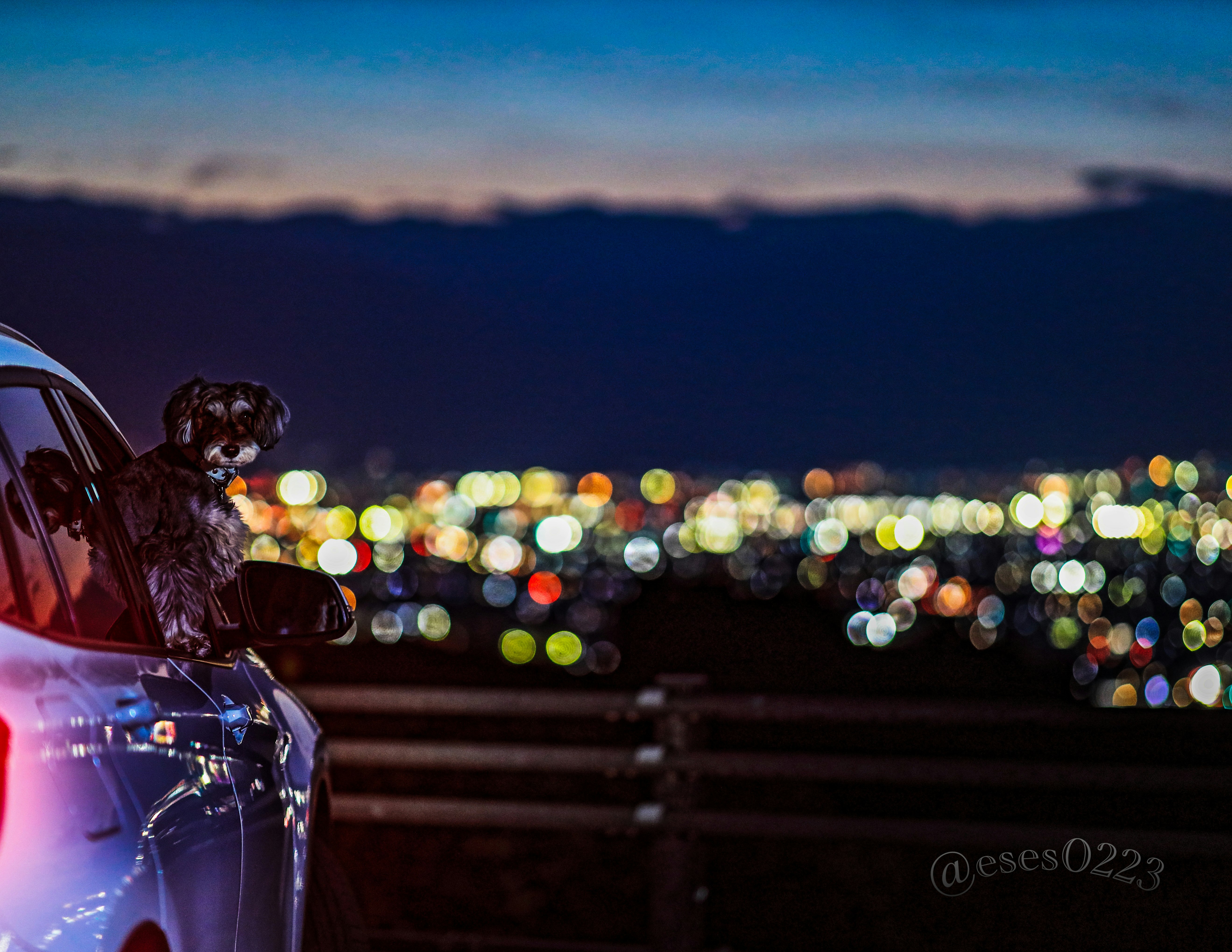 夜景を背景にした車のフロントと街の光のボケ