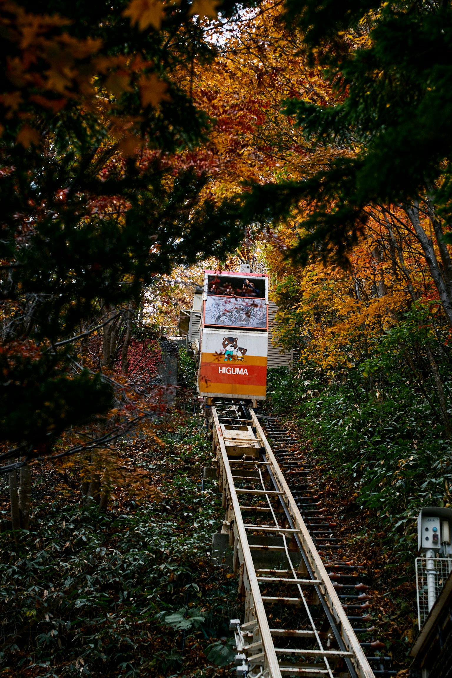 Téléphérique montant à travers des arbres aux feuillages d'automne