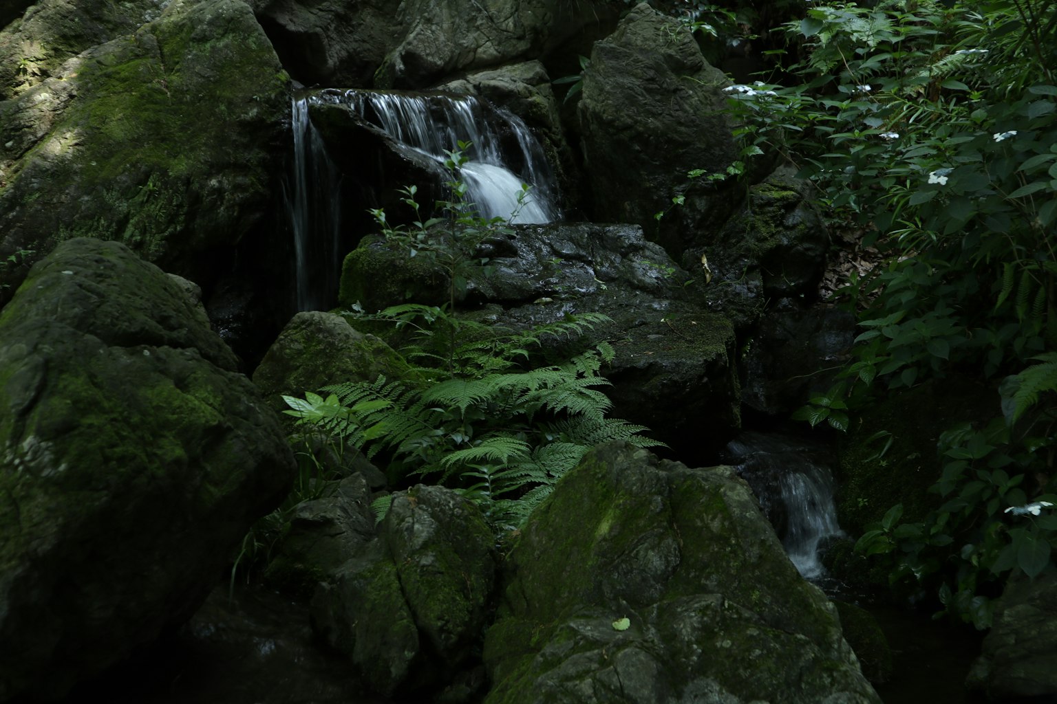 Une petite cascade entourée de rochers et de verdure luxuriante