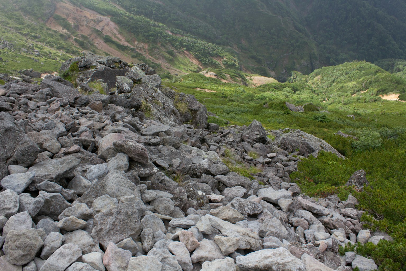 Terrain rocheux sur une pente de montagne avec une prairie verte