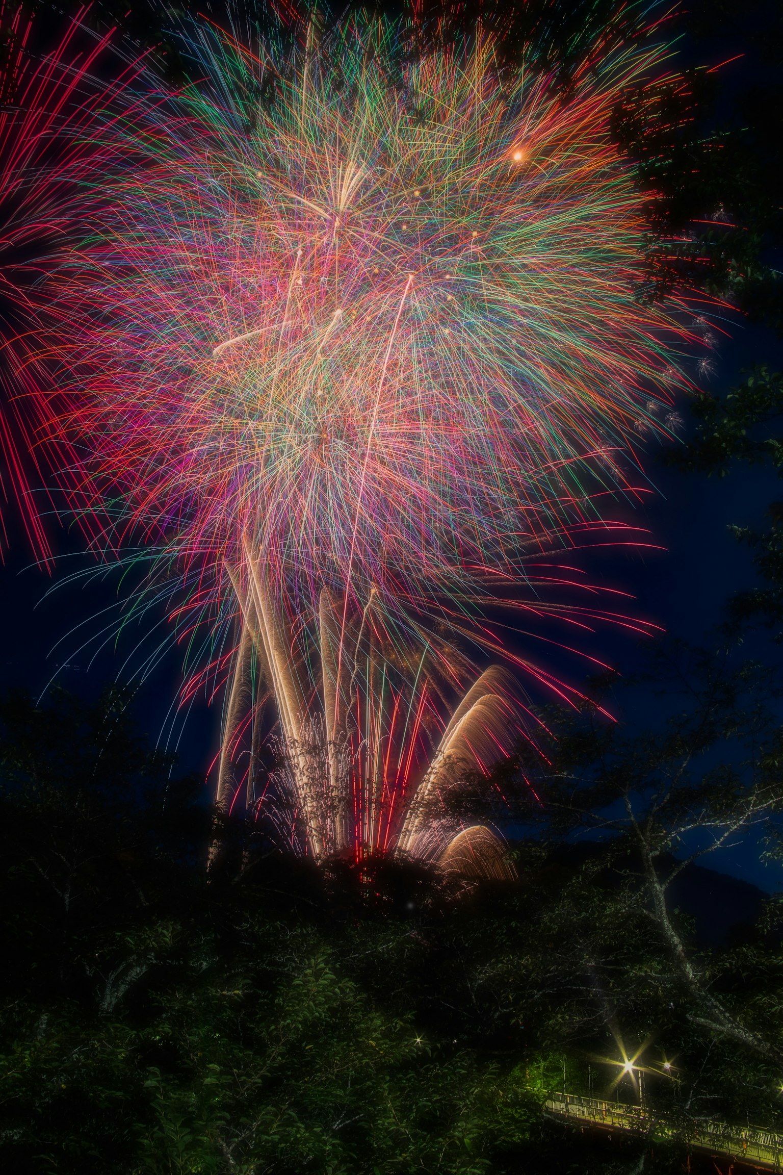 Spectacle de feux d'artifice colorés dans le ciel nocturne