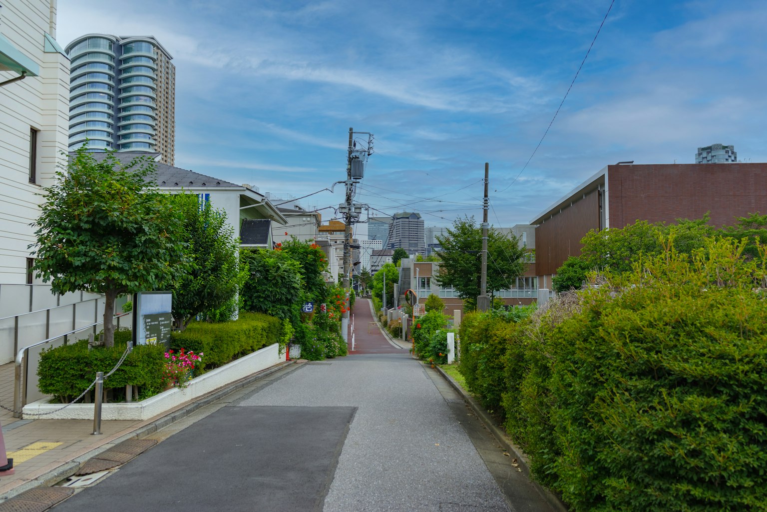 Ruhige Straßenszene mit üppigem Grün und Hochhäusern