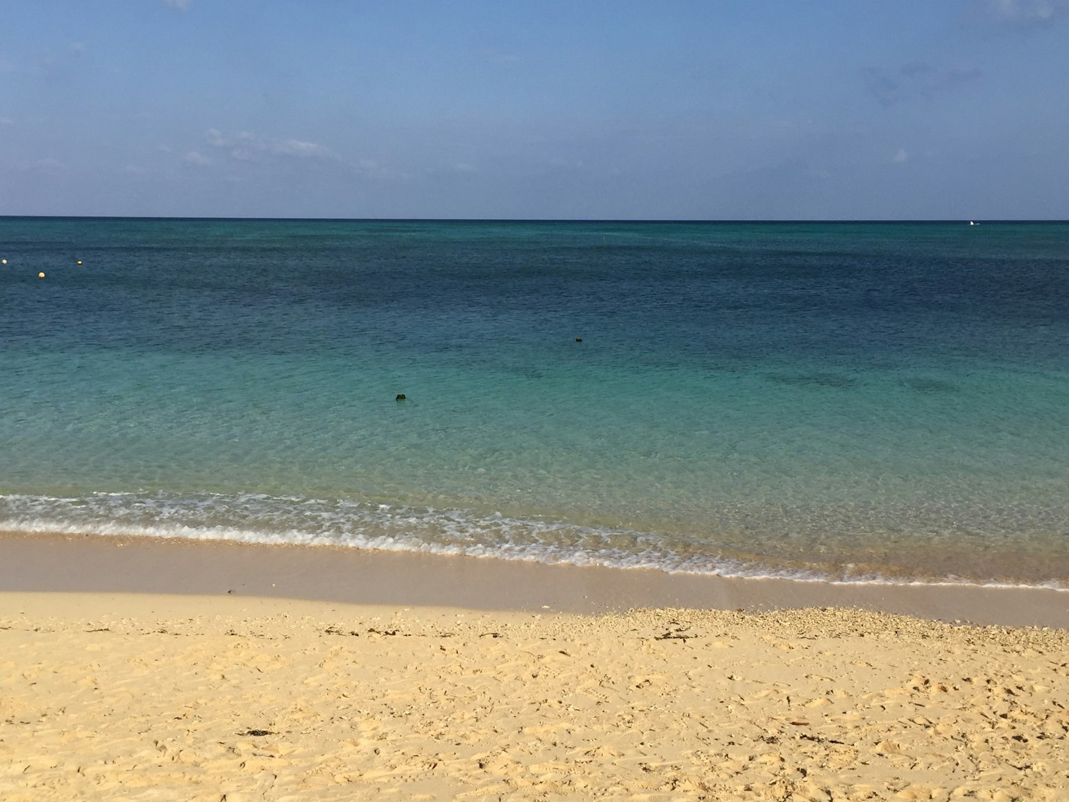 Scenic beach view with blue ocean and sandy shore