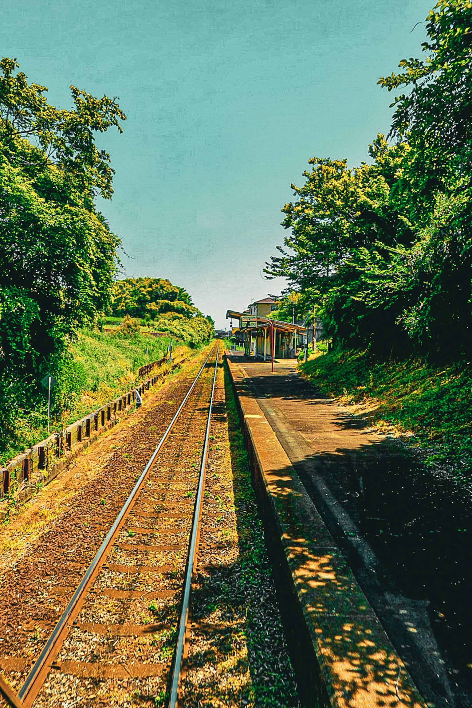 Scenic view of a train station surrounded by greenery and railway tracks