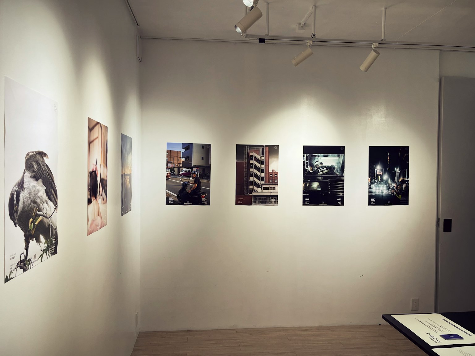 ผนังแกลเลอรีที่แสดงภาพถ่ายชุดหนึ่ง