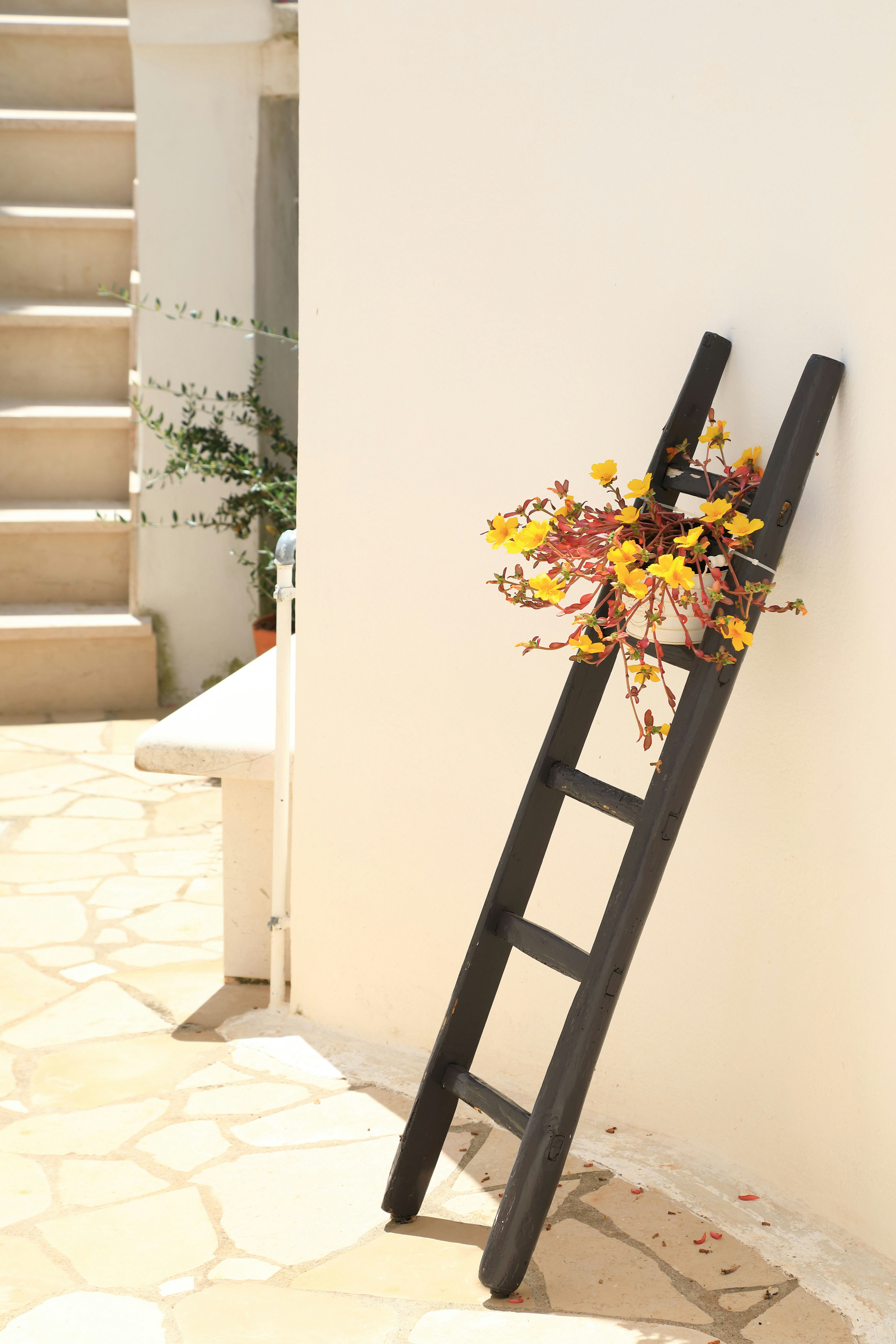 Échelle décorative avec fleurs devant un mur blanc