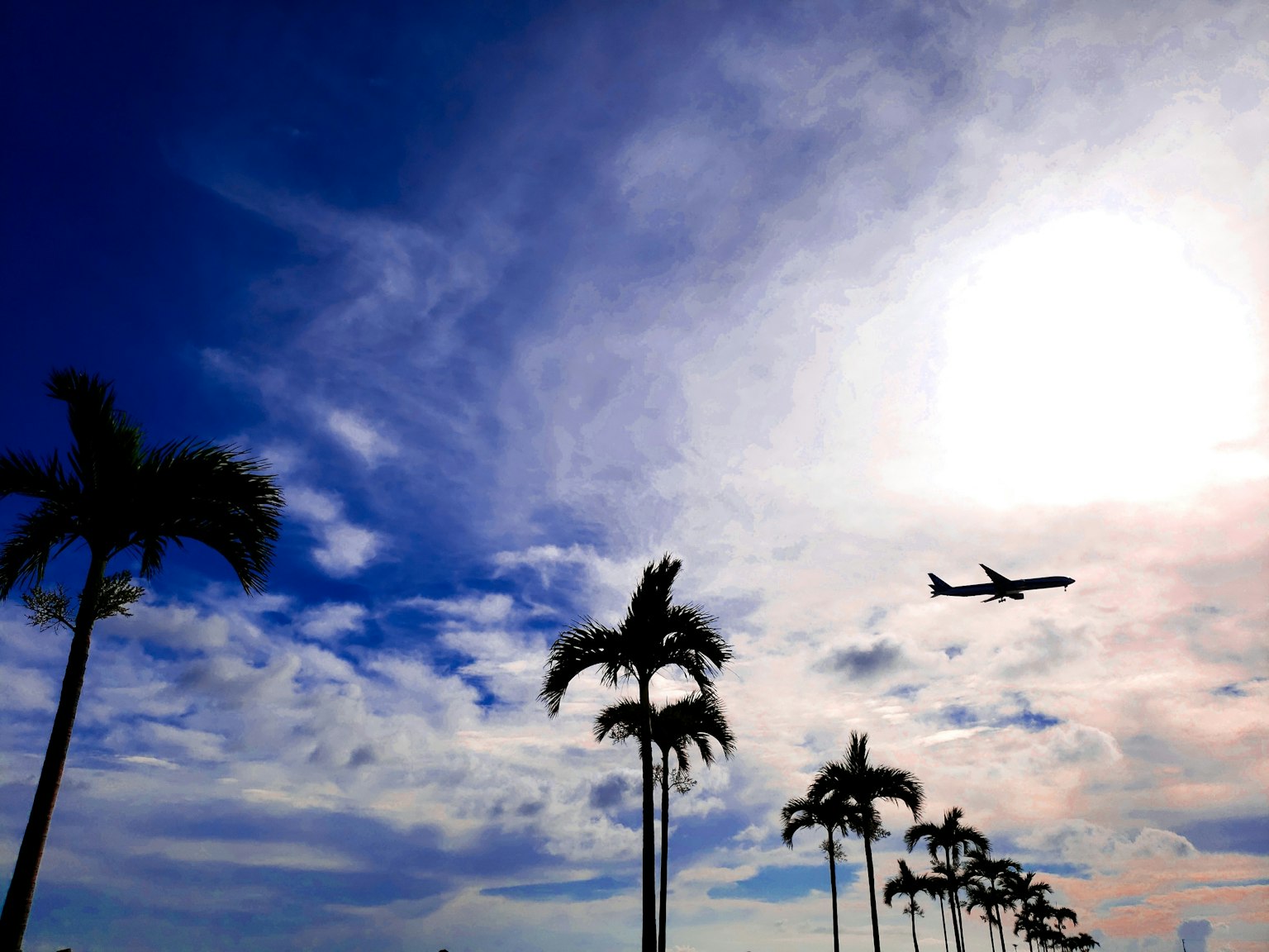 Palm trees silhouetted against a blue sky with an airplane flying