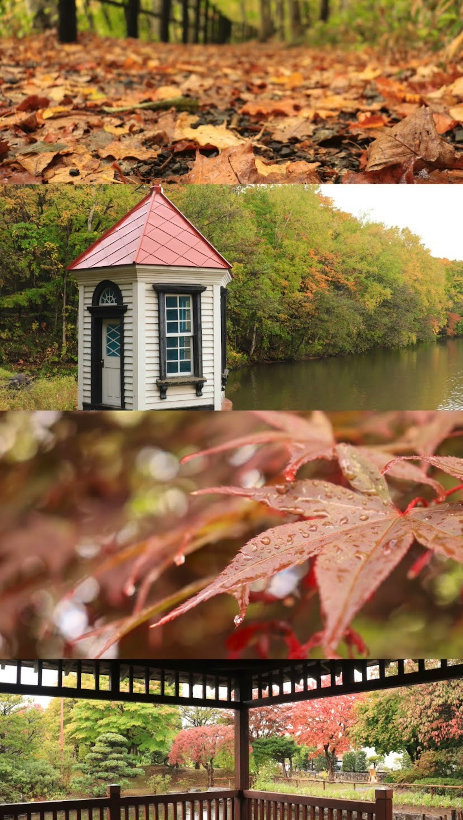 Schöne Herbstszene mit gefallenen Blättern und einem kleinen Pavillon am Wasser