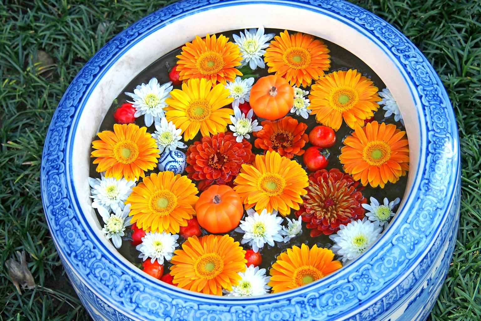 Fiori colorati e piccole zucche che galleggiano in una ciotola di ceramica blu
