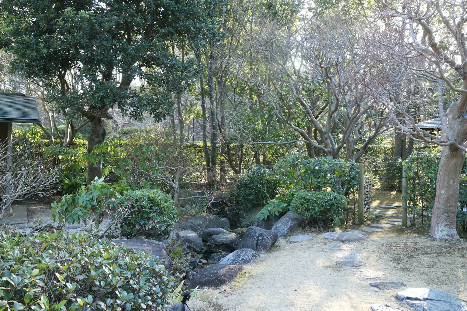 Paesaggio di giardino giapponese sereno con piante verdi e sentiero in pietra